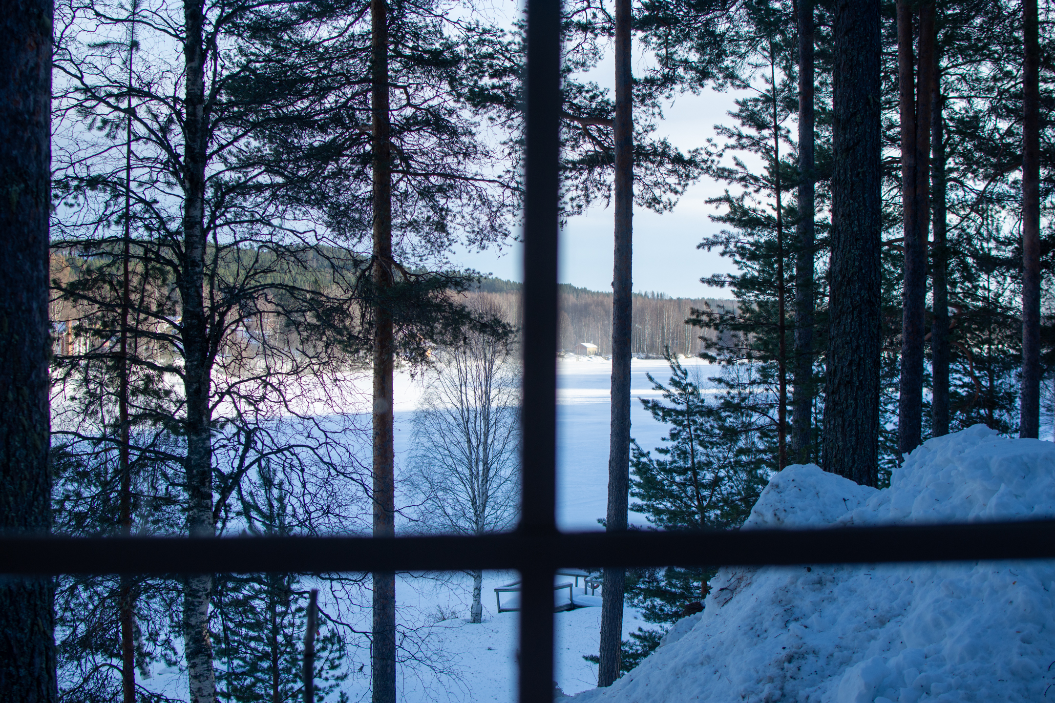 View from our cabin at Granö Beckasin © 2024. This work is openly licensed via CC BY-NC 4.0
