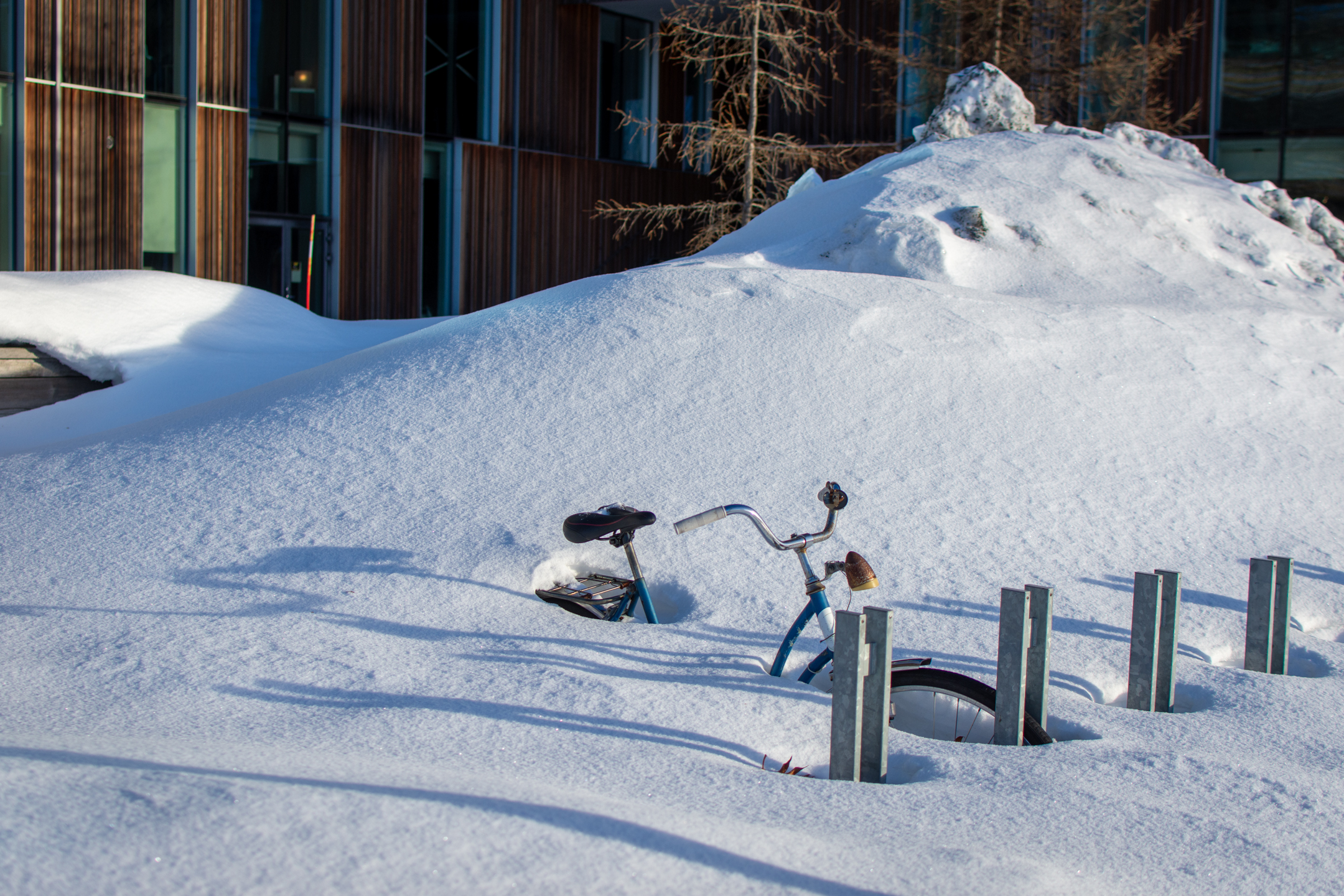Lonely bicycle in Umeå. Sums up how much snow we saw in Sweden! 35mm, ISO 100, f / 3.2, 1/1600 sec © 2024. This work is openly licensed via CC BY-NC 4.0