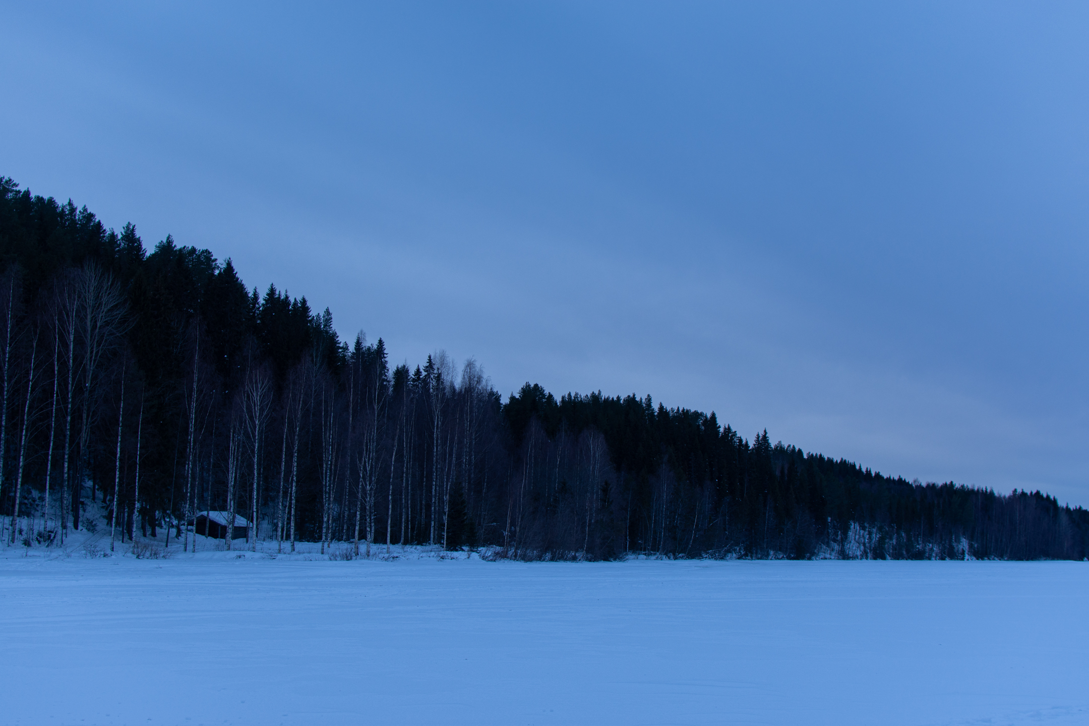Cozy cabin in the woods (not currently in use). © 2024. This work is openly licensed via CC BY-NC 4.0