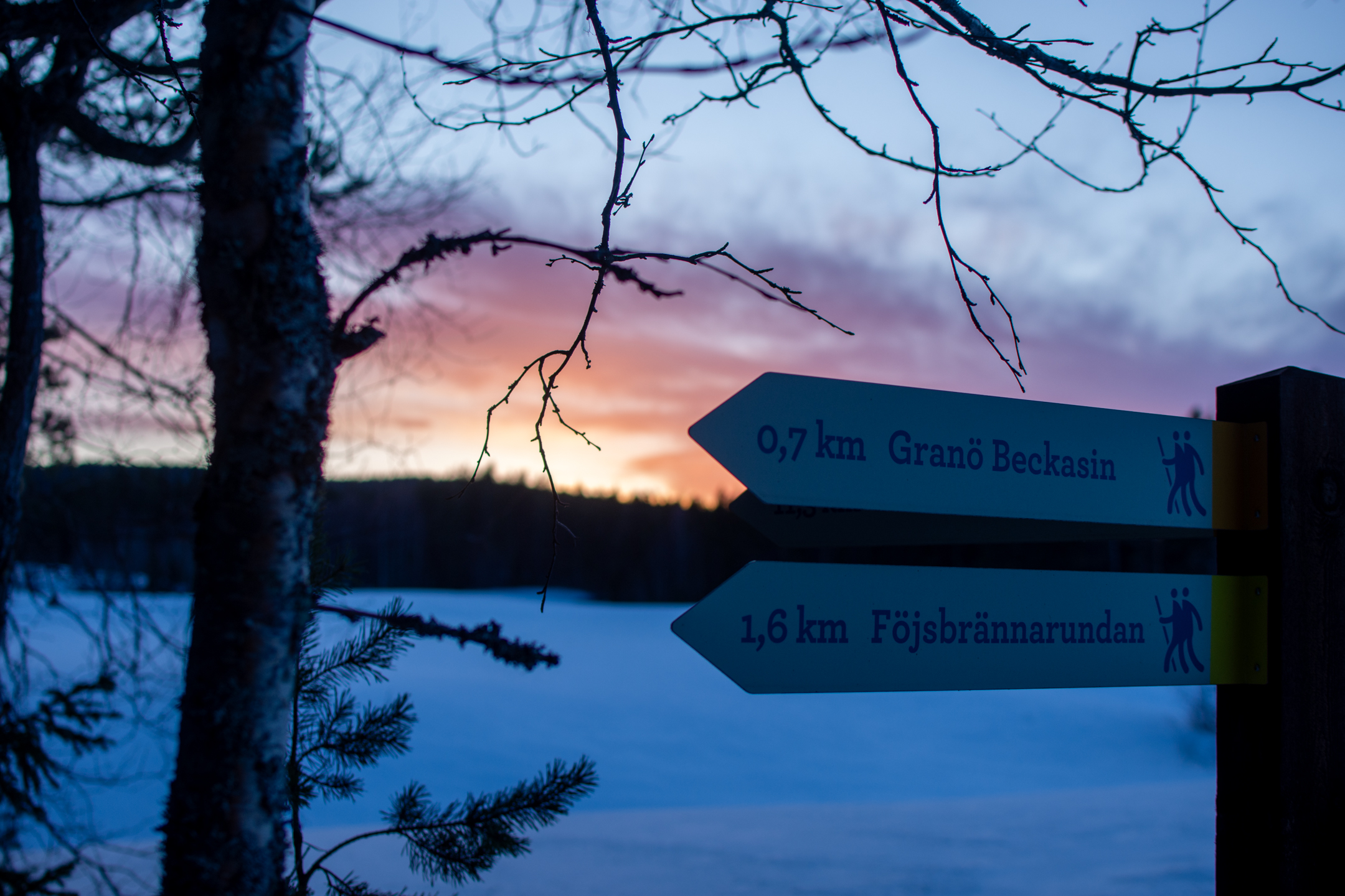 Sunset in Granö 2. © 2024. This work is openly licensed via CC BY-NC 4.0