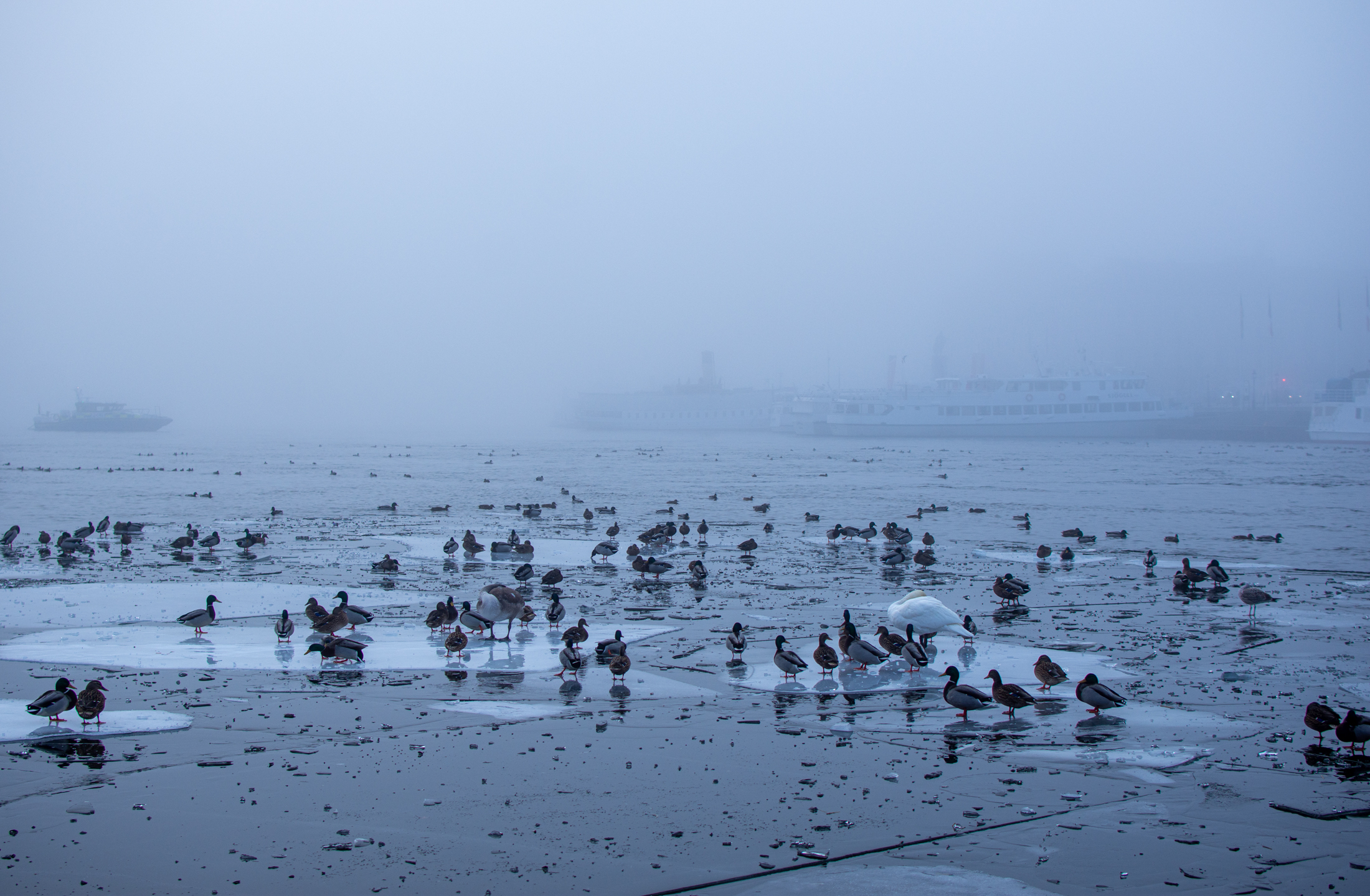Chilly in Stockholm! © 2024. This work is openly licensed via CC BY-NC 4.0