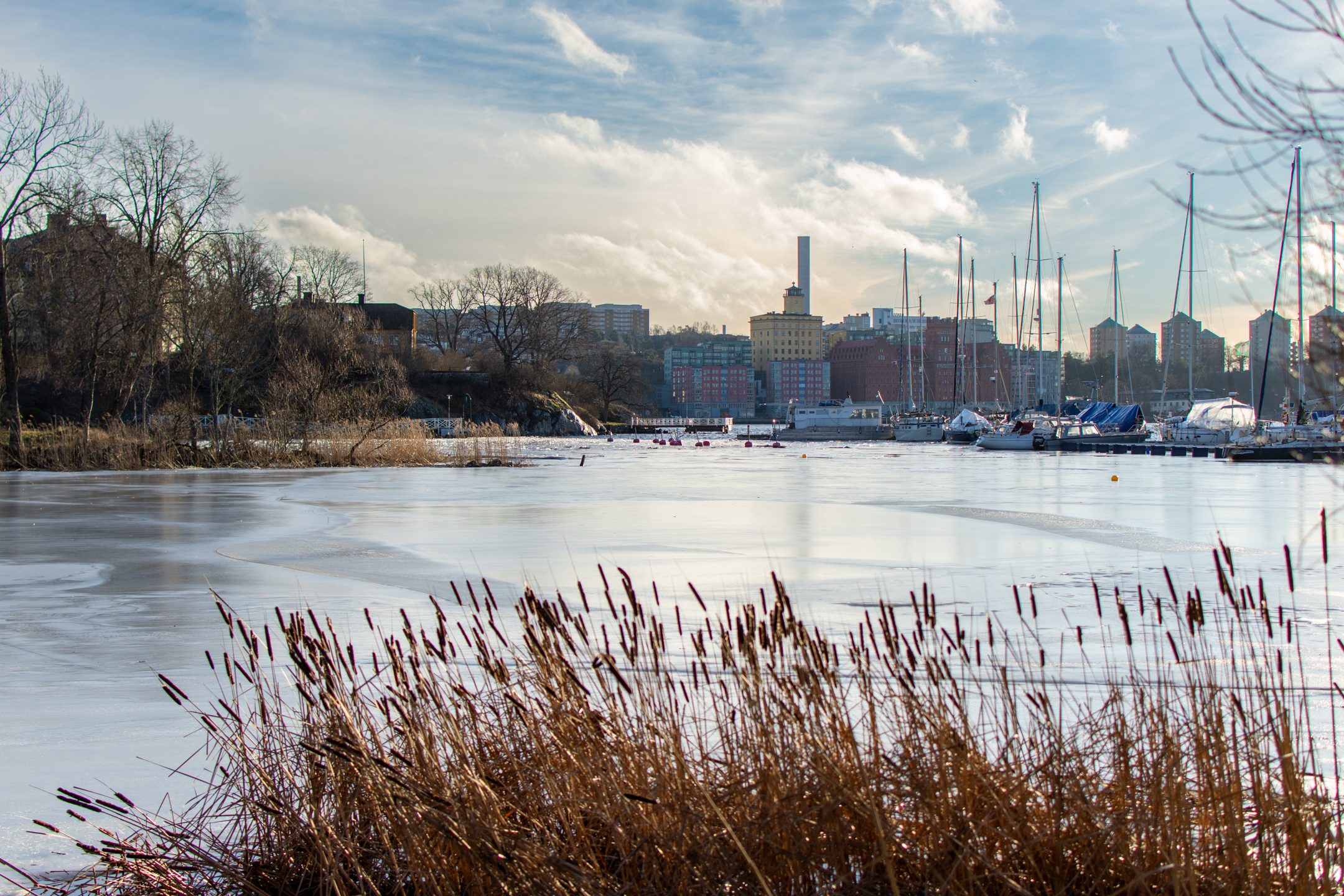 Djurgården, an island in Stockholm that was previously the Swedish royal family’s private getaway. © 2024. This work is openly licensed via CC BY-NC 4.0