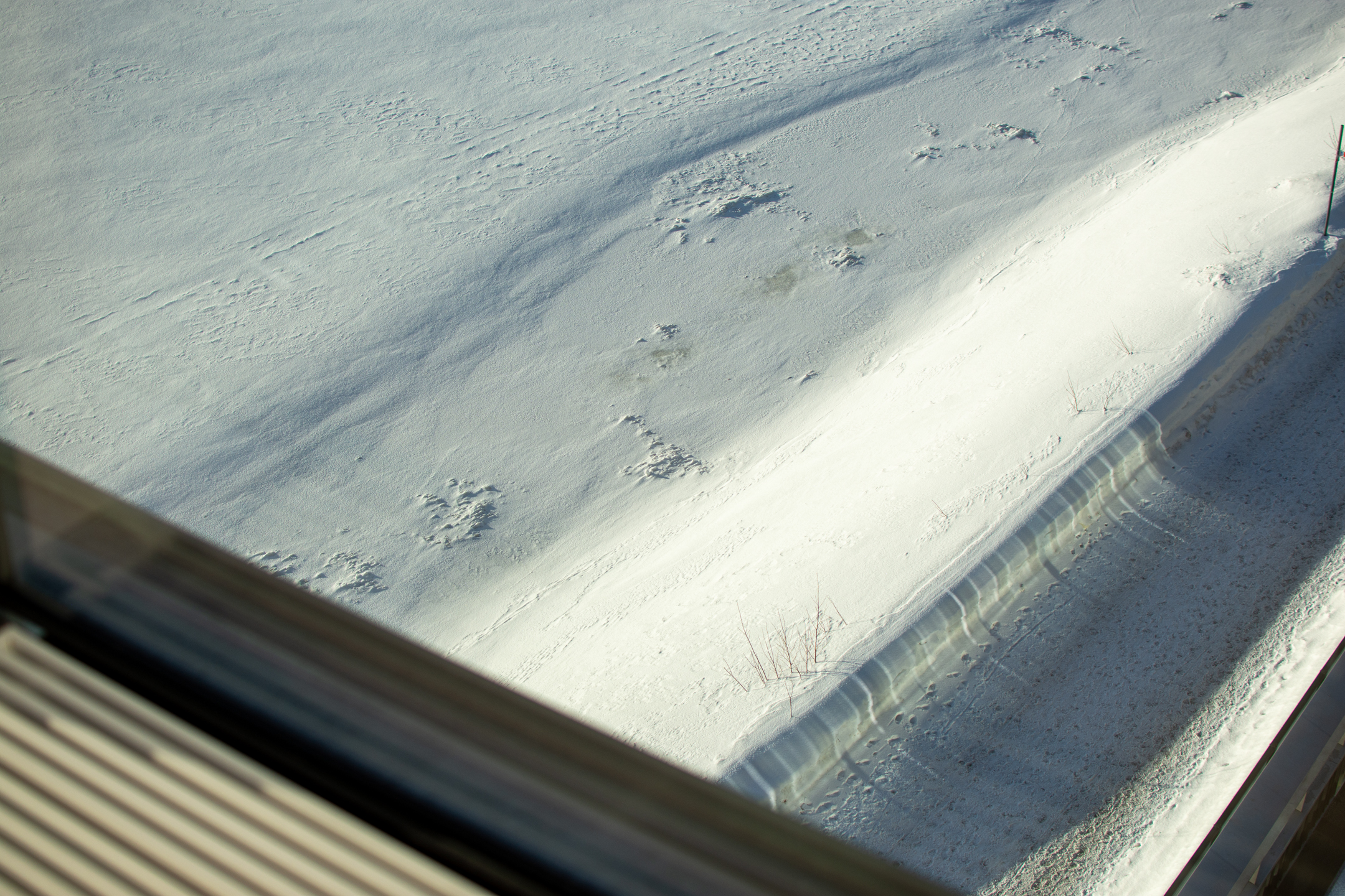 Love the textures and angles in this photo. © 2024. This work is openly licensed via CC BY-NC 4.0