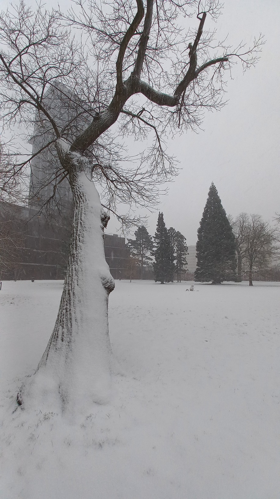 Decent snowfall (for Copenhagen)