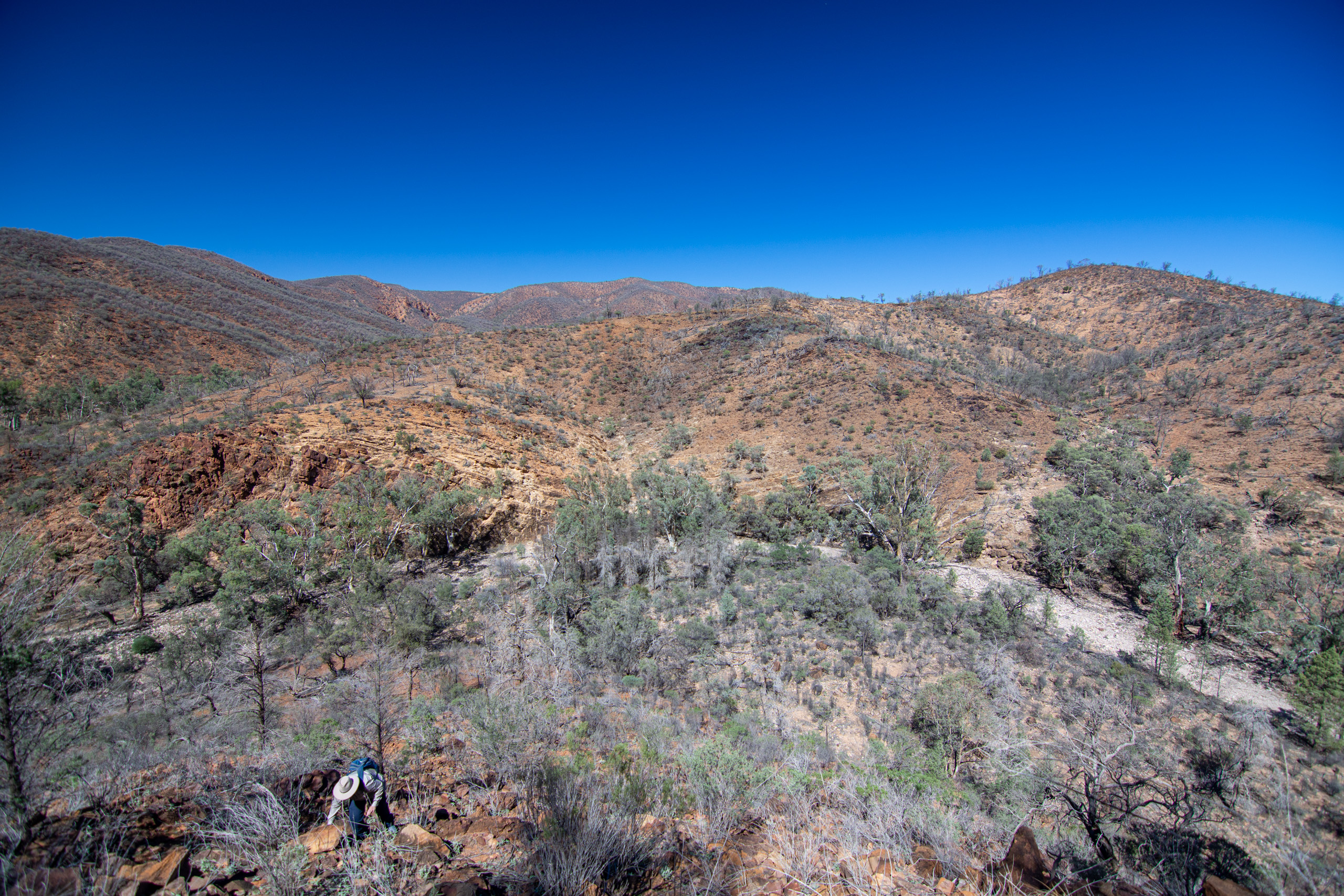 Tamron 11-18mm wide angle, ISO 100 (polarizing filter). © 2024. This work is openly licensed via CC BY-NC 4.0