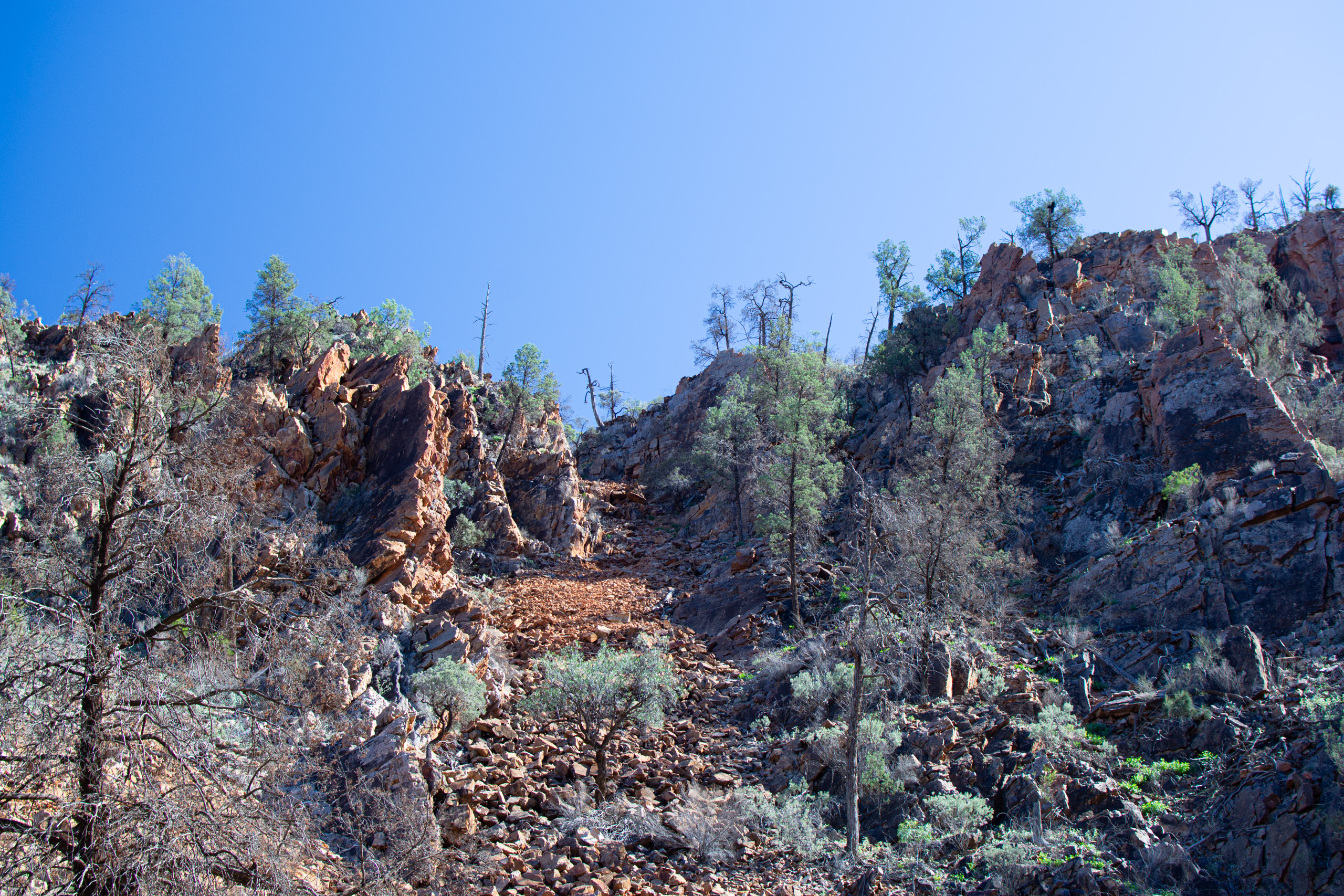Example of where the YFRWs live. © 2024. This work is openly licensed via CC BY-NC 4.0