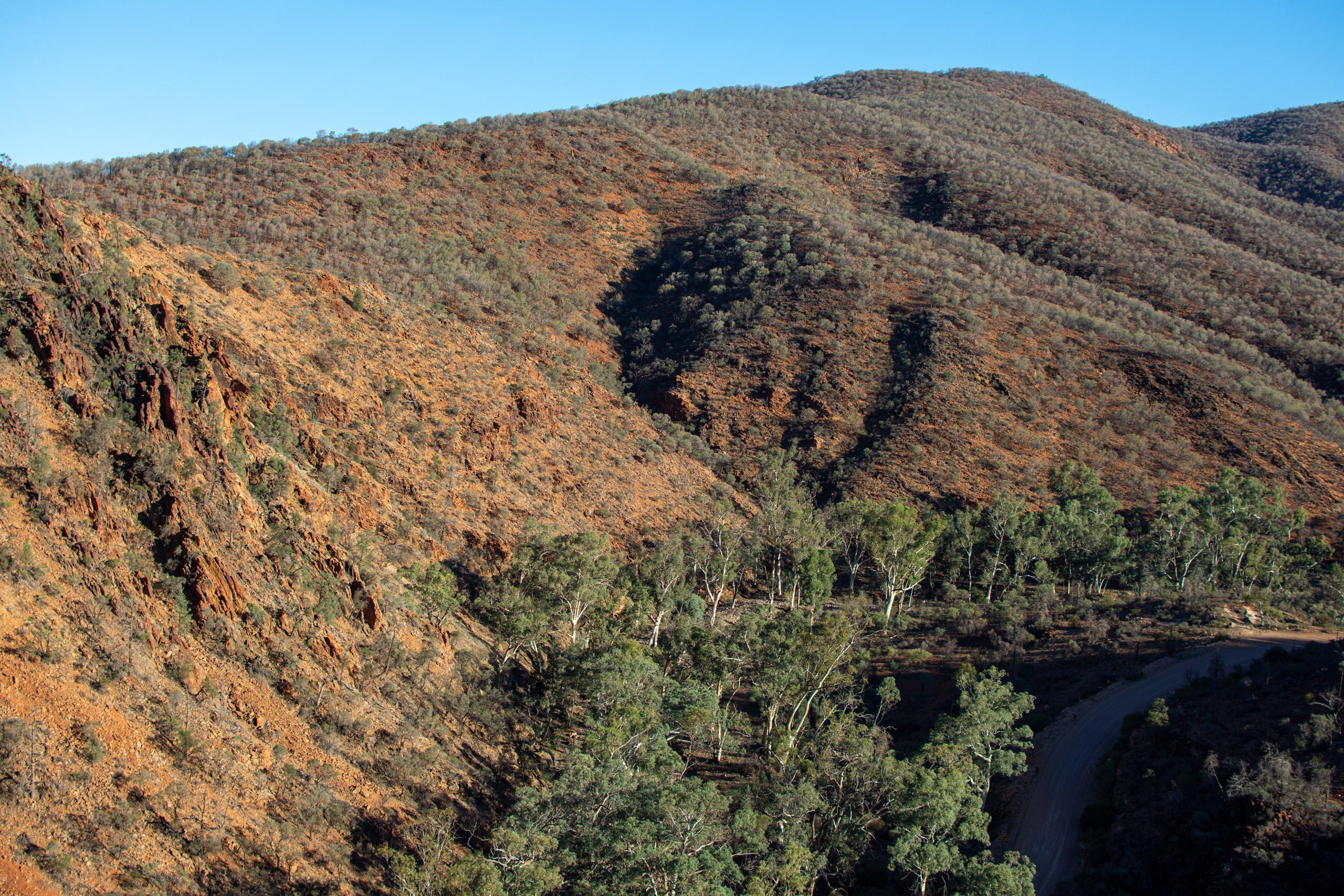 View from one of the trap sites. © 2024. This work is openly licensed via CC BY-NC 4.0