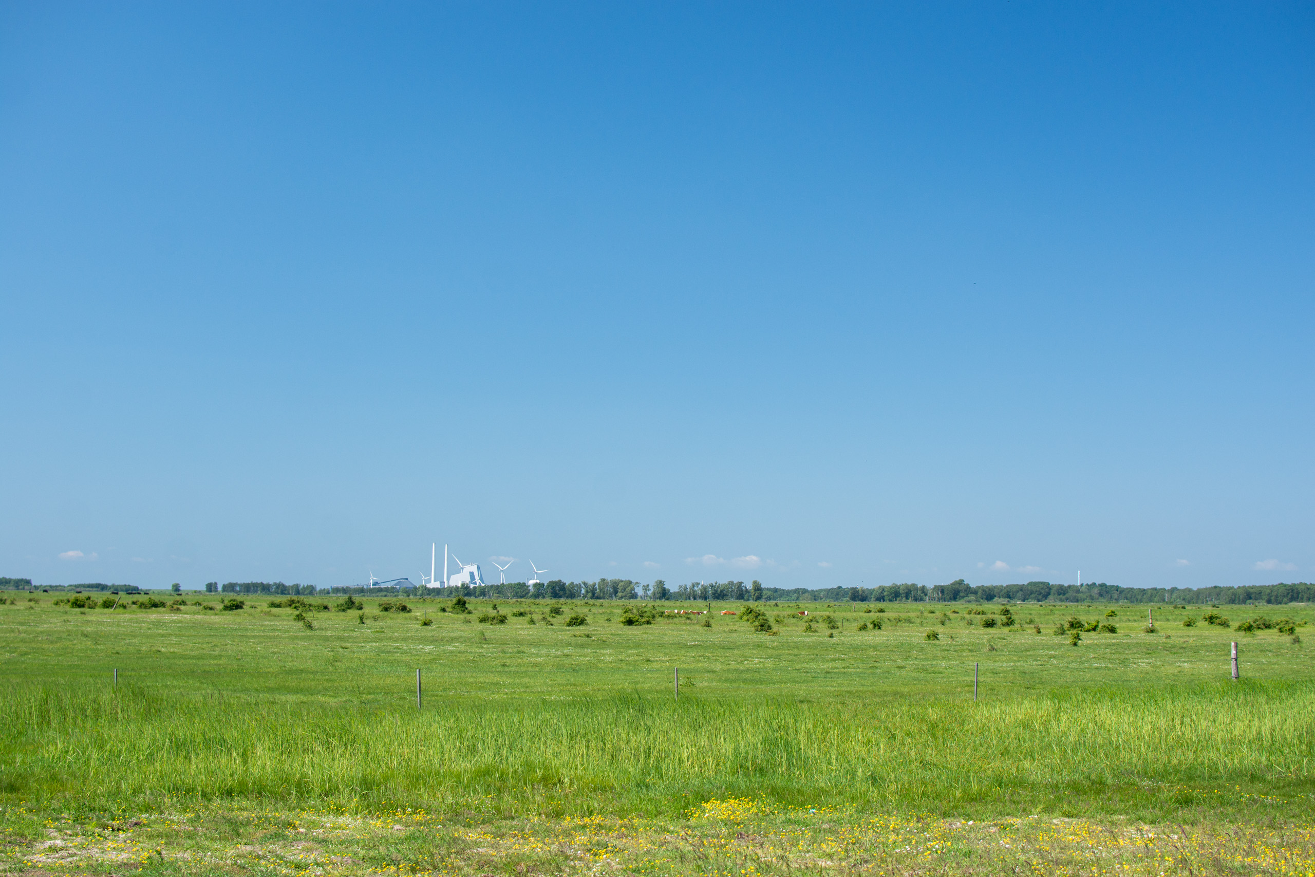 Farmland on Amager. © 2024. This work is openly licensed via CC BY-NC 4.0