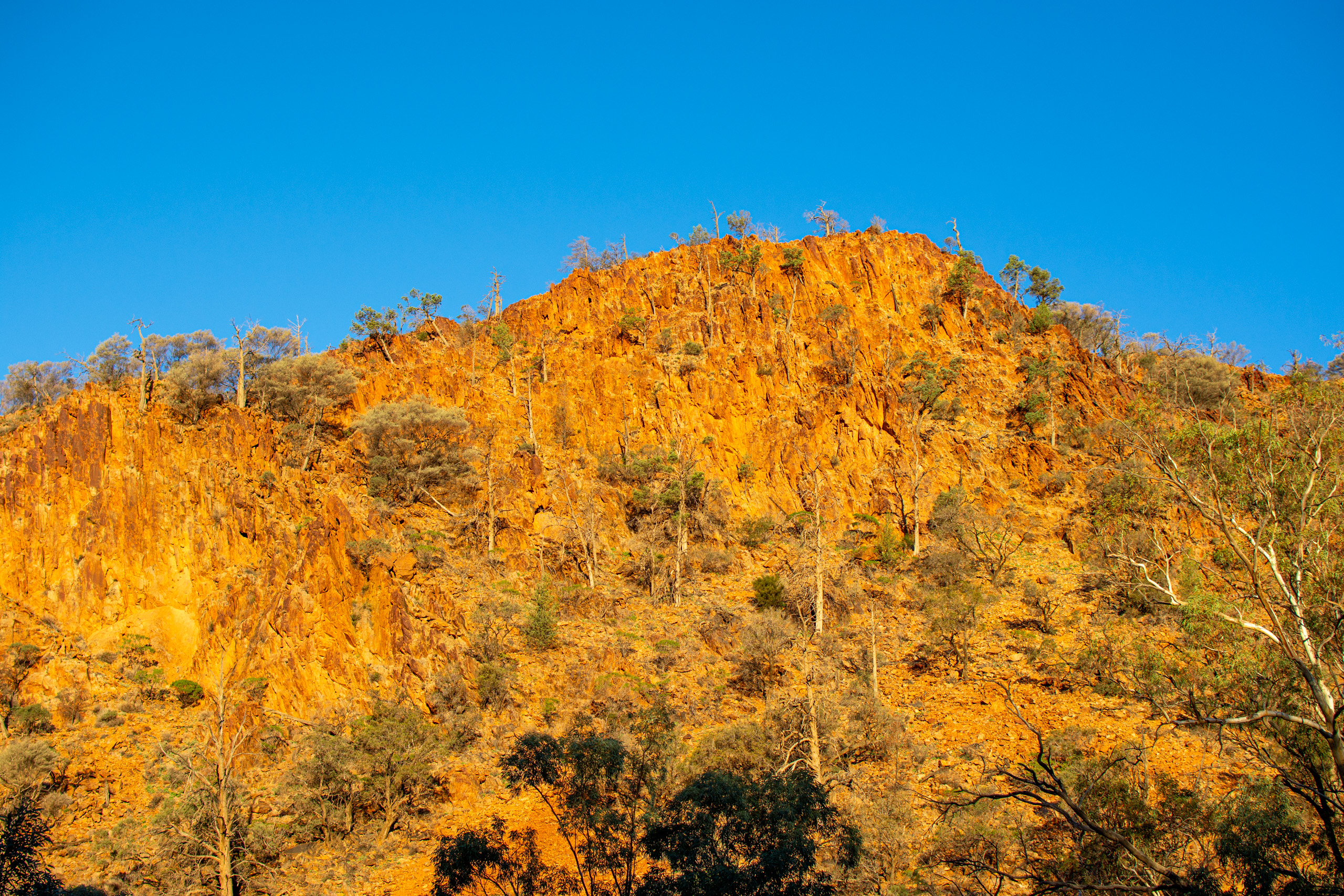 Sunrise on the cliffs. © 2024. This work is openly licensed via CC BY-NC 4.0
