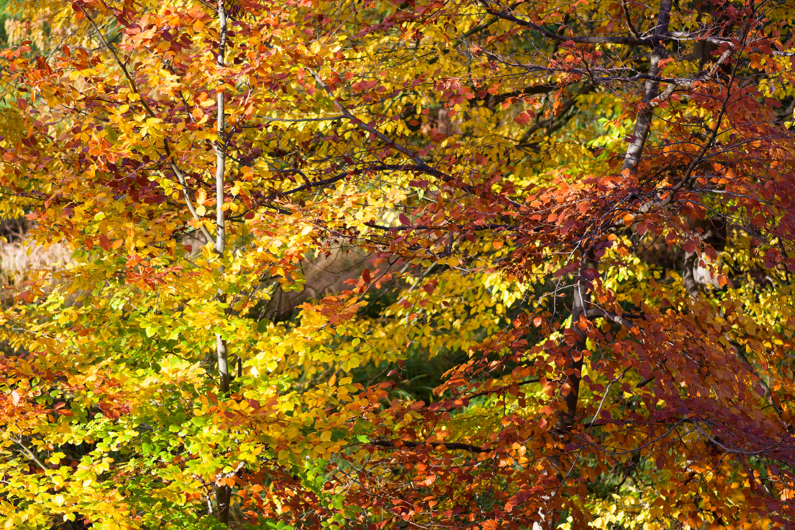 Colours © 2024. This work is openly licensed via CC BY-NC 4.0