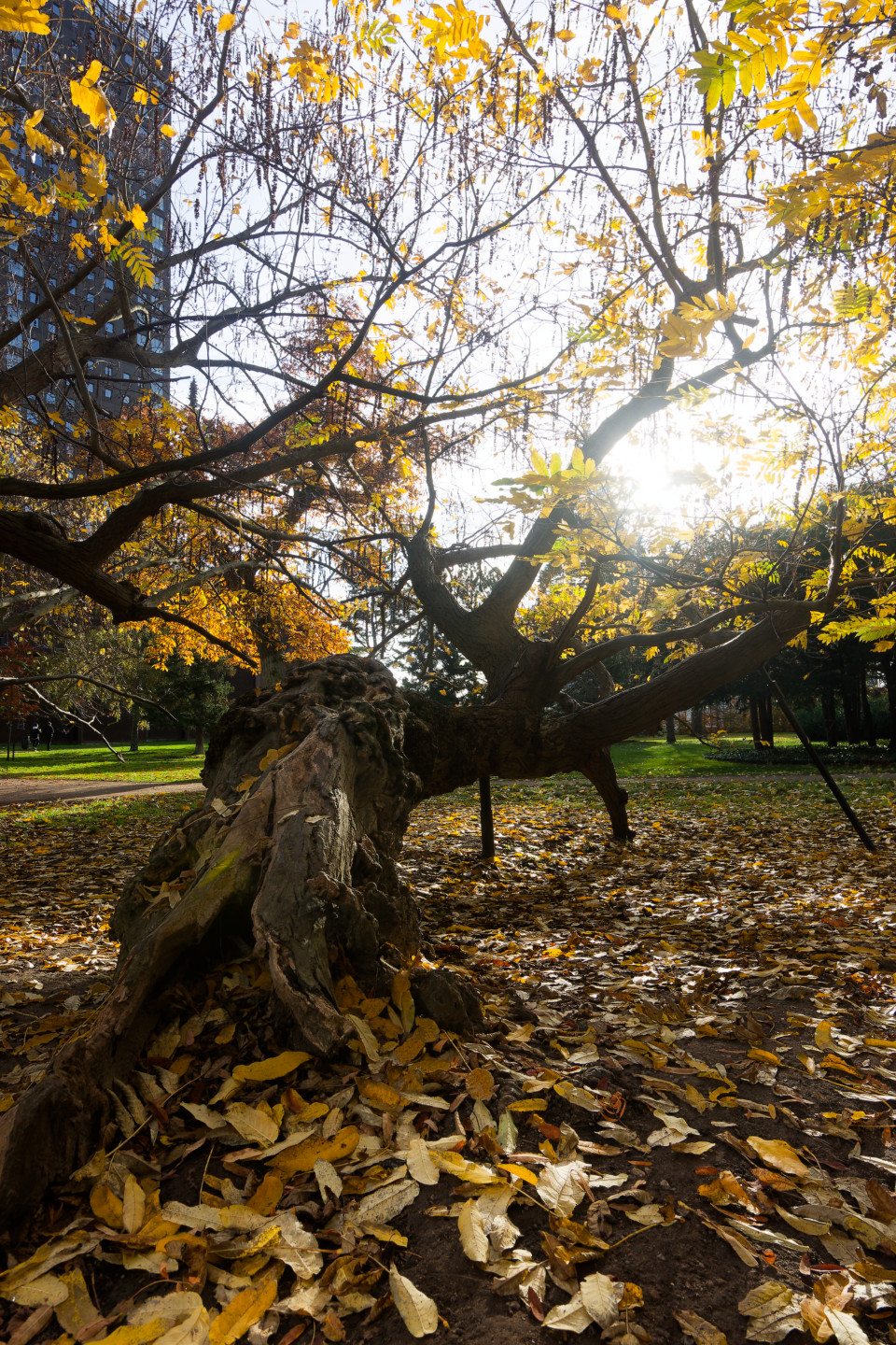 Untitled © 2024. This work is openly licensed via CC BY-NC 4.0