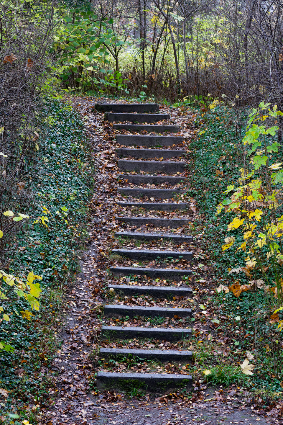 Untitled © 2024. This work is openly licensed via CC BY-NC 4.0