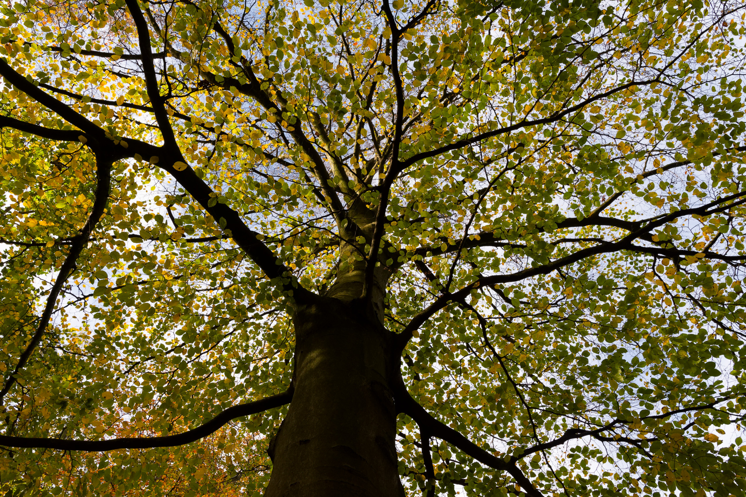Untitled © 2024. This work is openly licensed via CC BY-NC 4.0