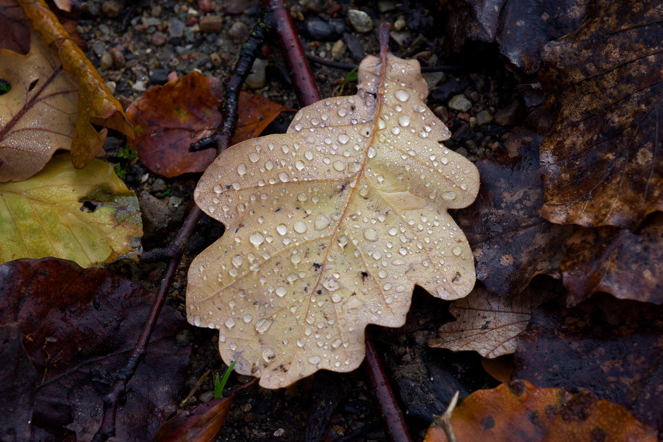 Untitled © 2024. This work is openly licensed via CC BY-NC 4.0