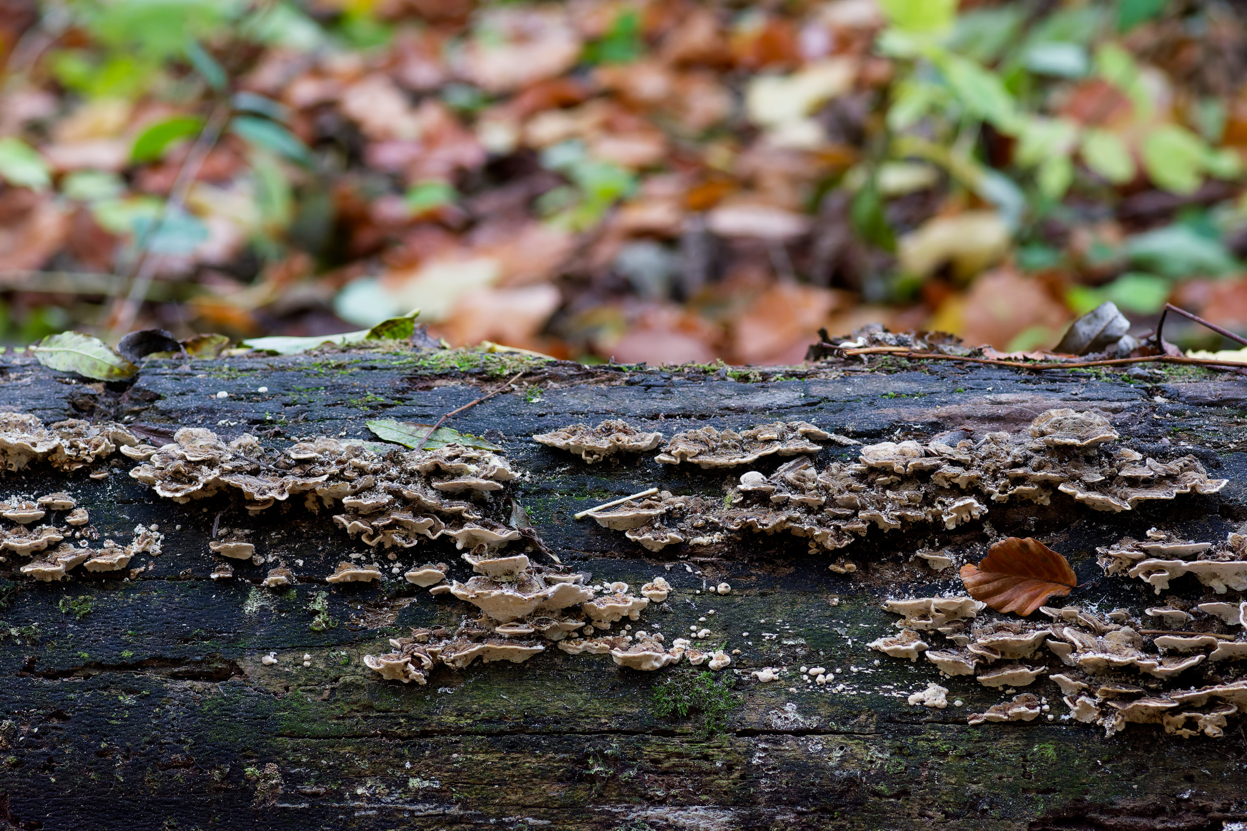 Untitled © 2024. This work is openly licensed via CC BY-NC 4.0