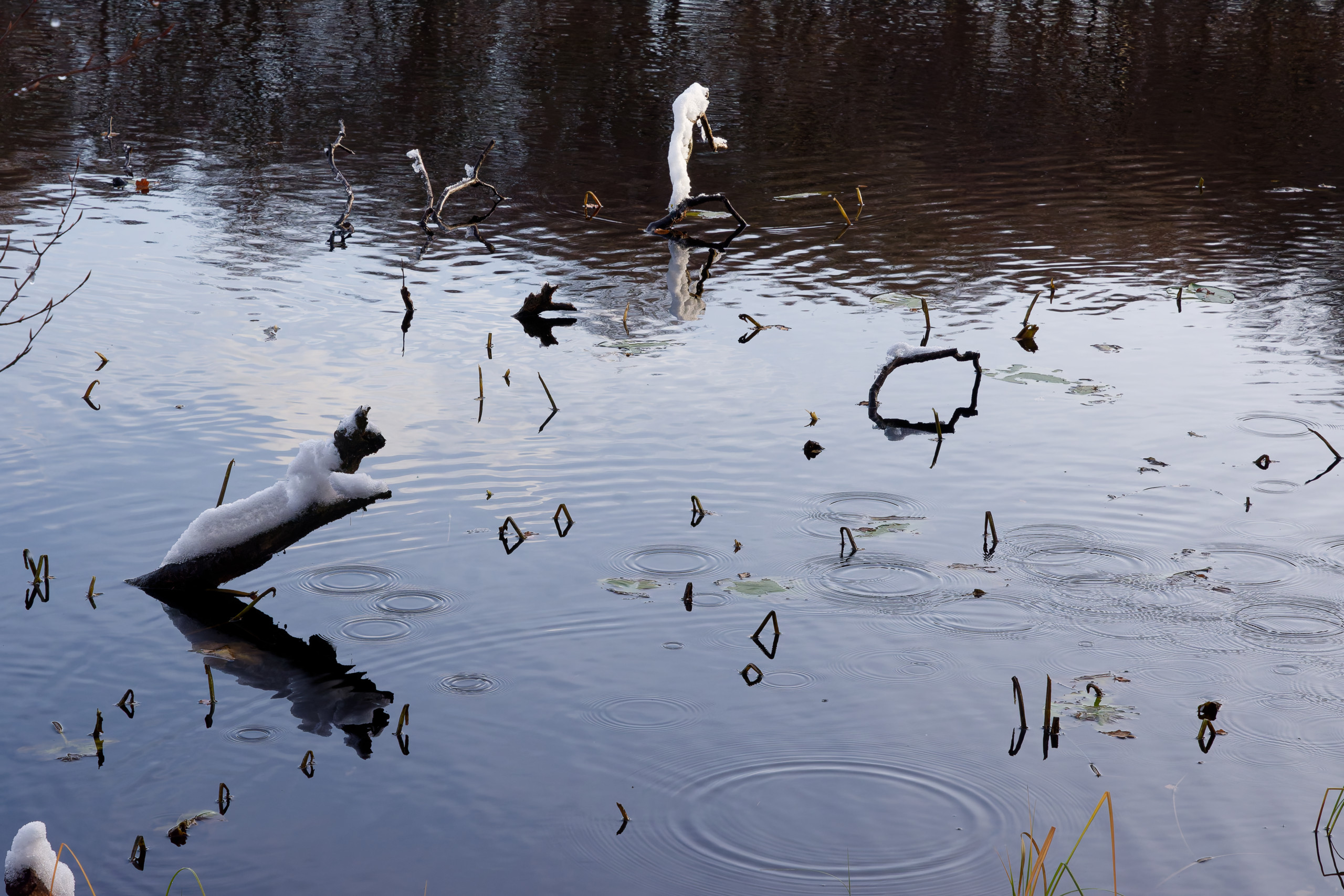 Reflections 1 © 2024. This work is openly licensed via CC BY-NC 4.0