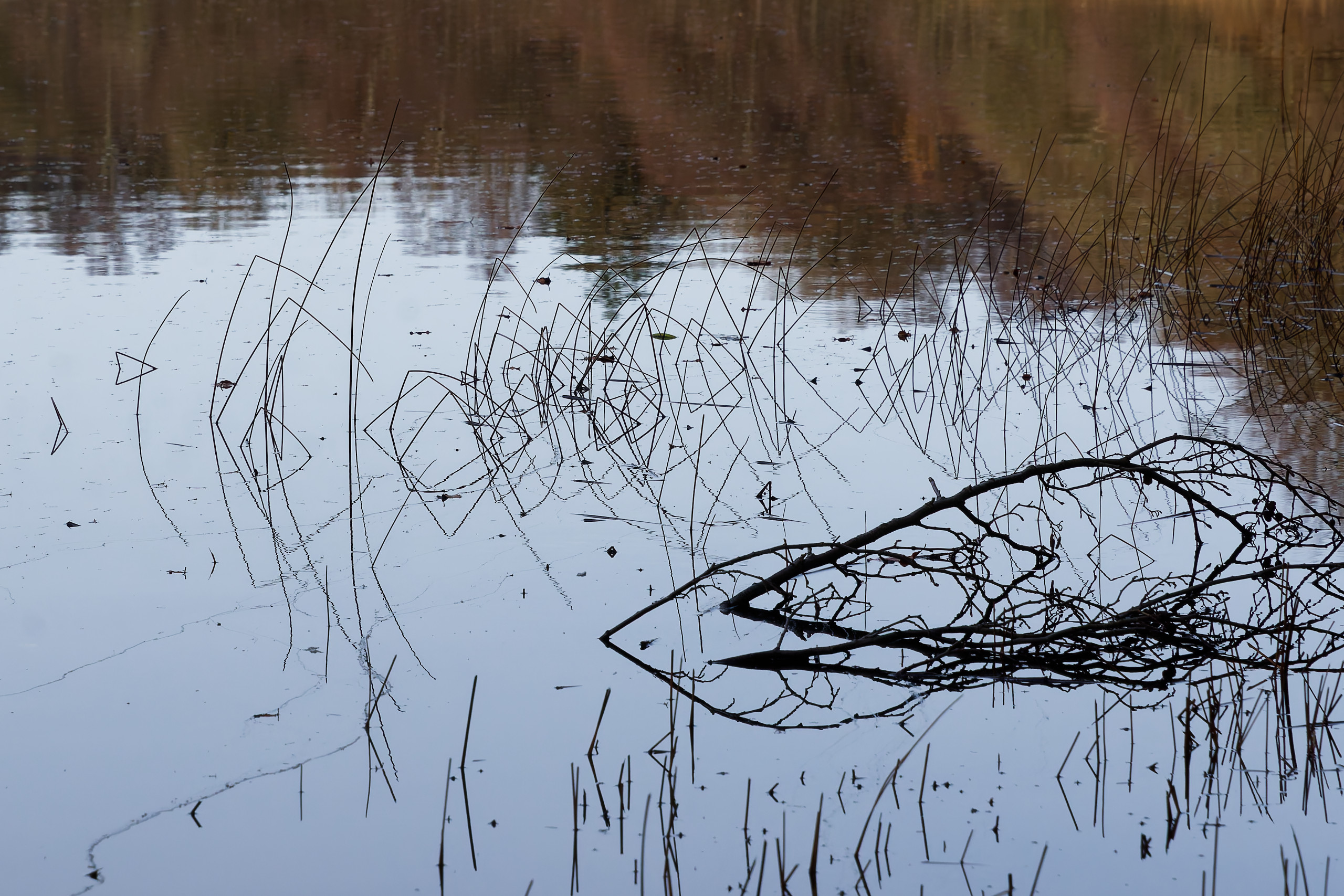 Reflections 2 © 2024. This work is openly licensed via CC BY-NC 4.0
