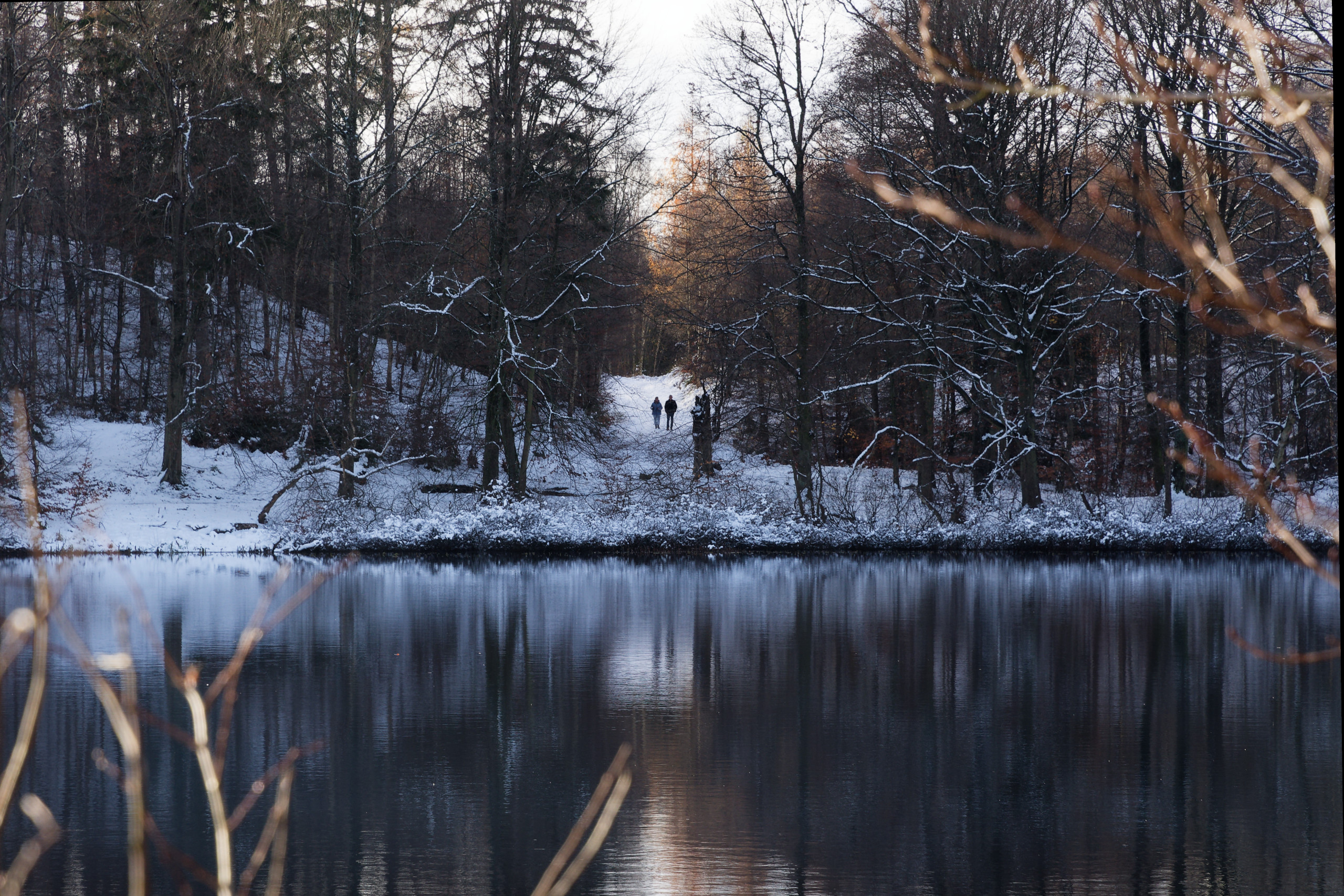 Untitled © 2024. This work is openly licensed via CC BY-NC 4.0