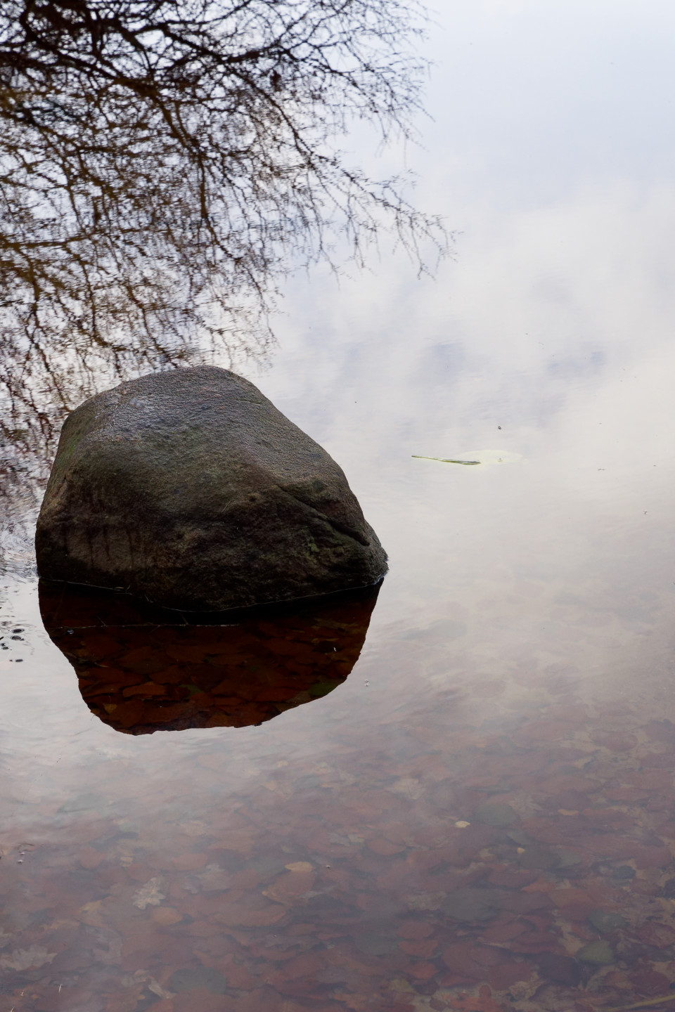 Reflections 3 © 2024. This work is openly licensed via CC BY-NC 4.0