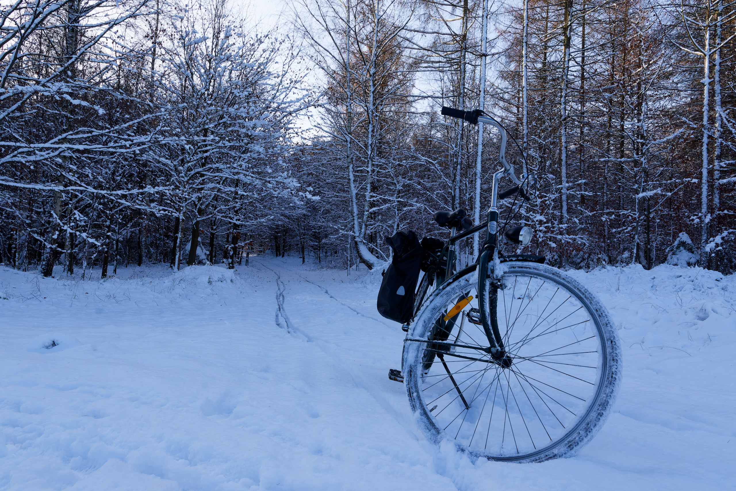 The trusty iron steed. © 2024. This work is openly licensed via CC BY-NC 4.0