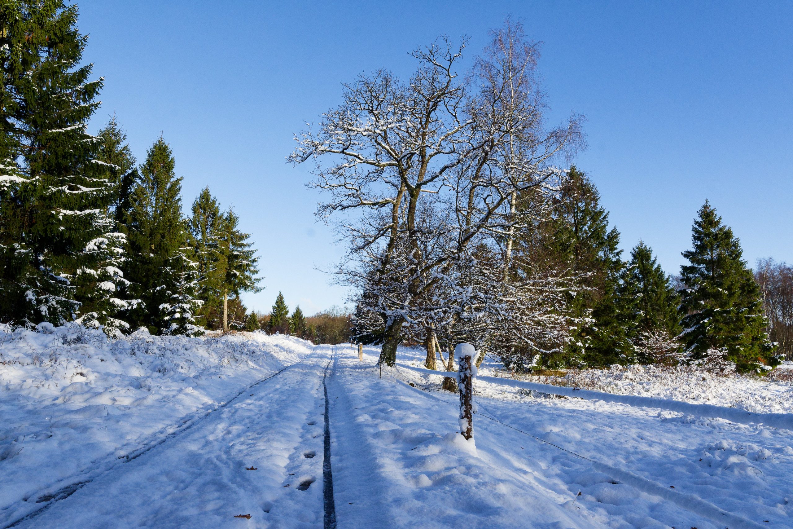 Snowfall. © 2024. This work is openly licensed via CC BY-NC 4.0
