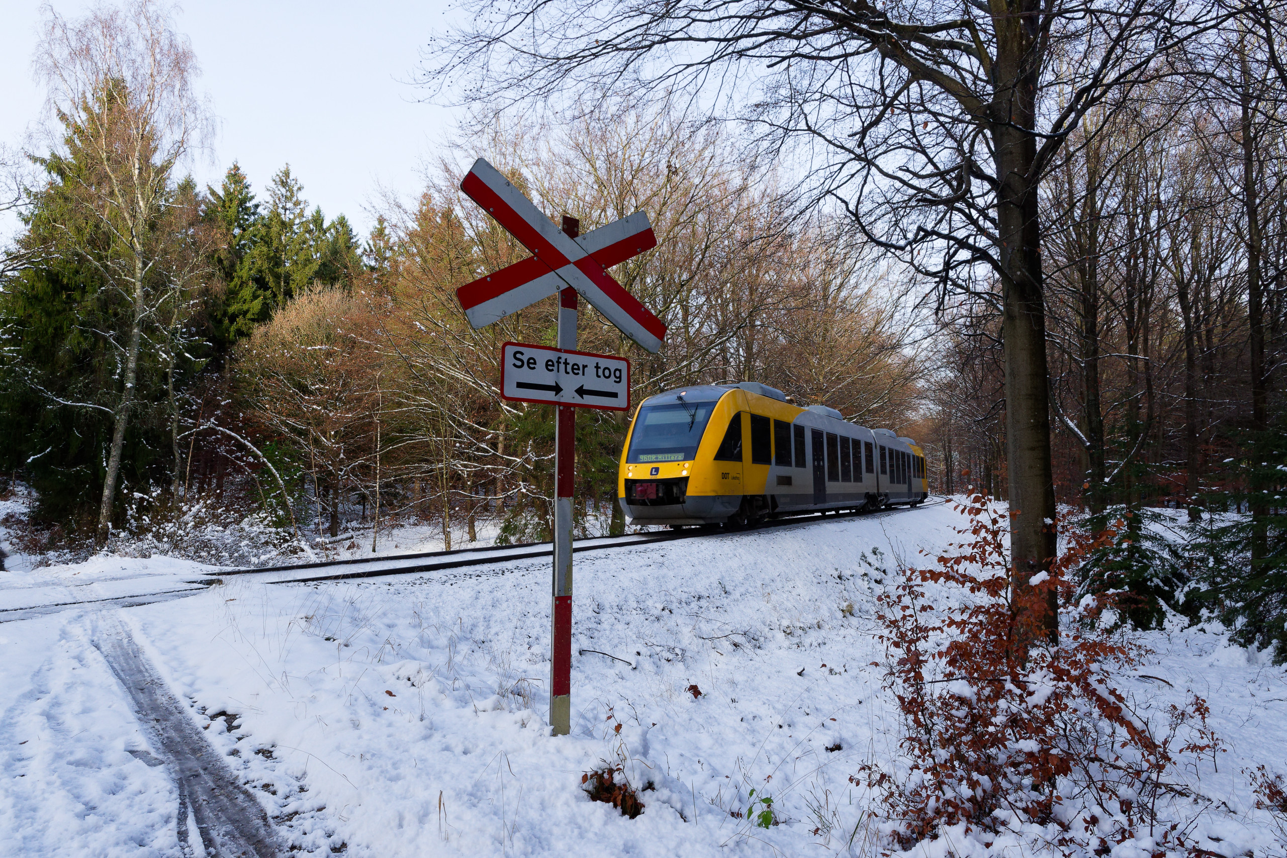 A train runs through Gribskov © 2024. This work is openly licensed via CC BY-NC 4.0