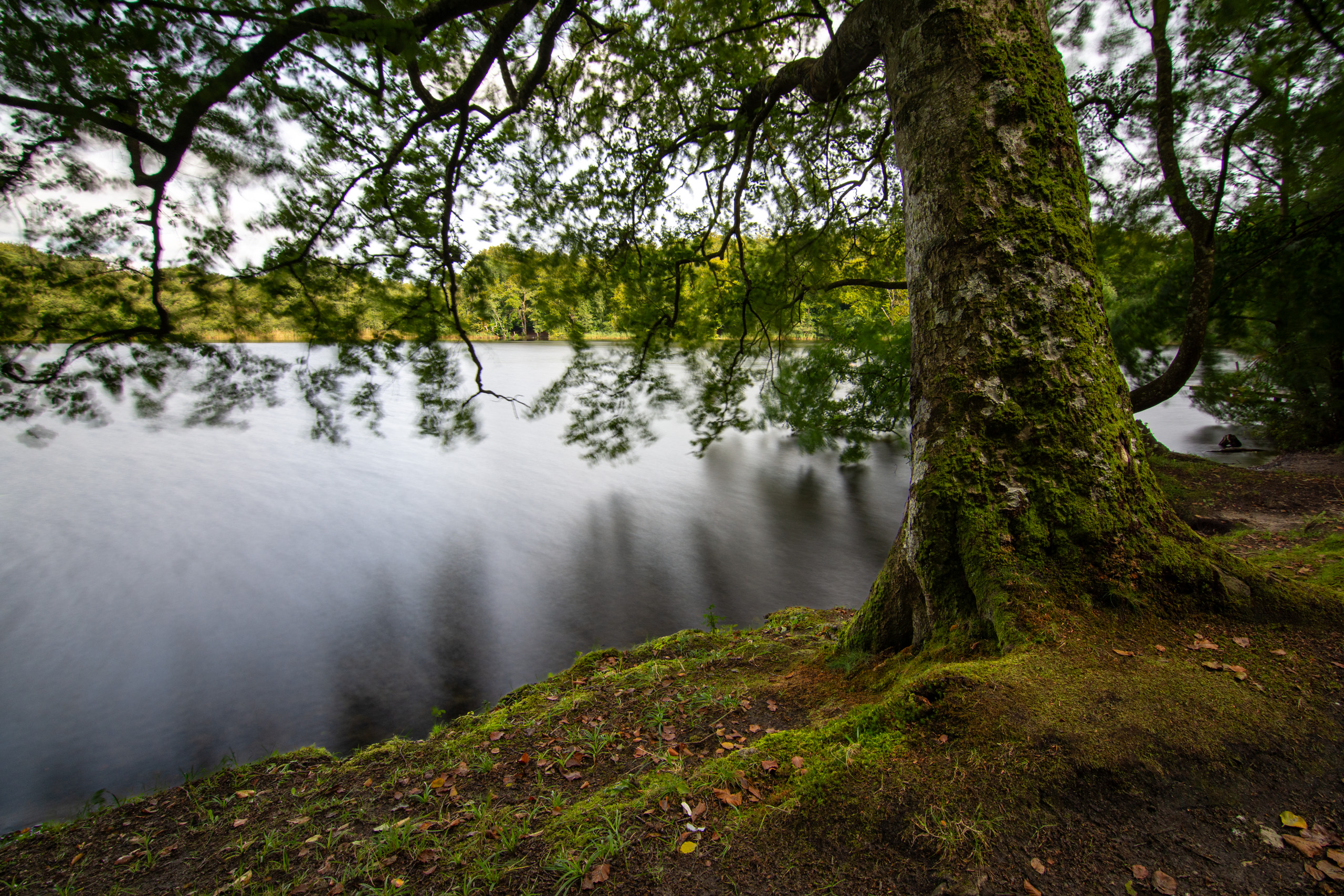 © 2024. This work is openly licensed via CC BY-NC 4.0