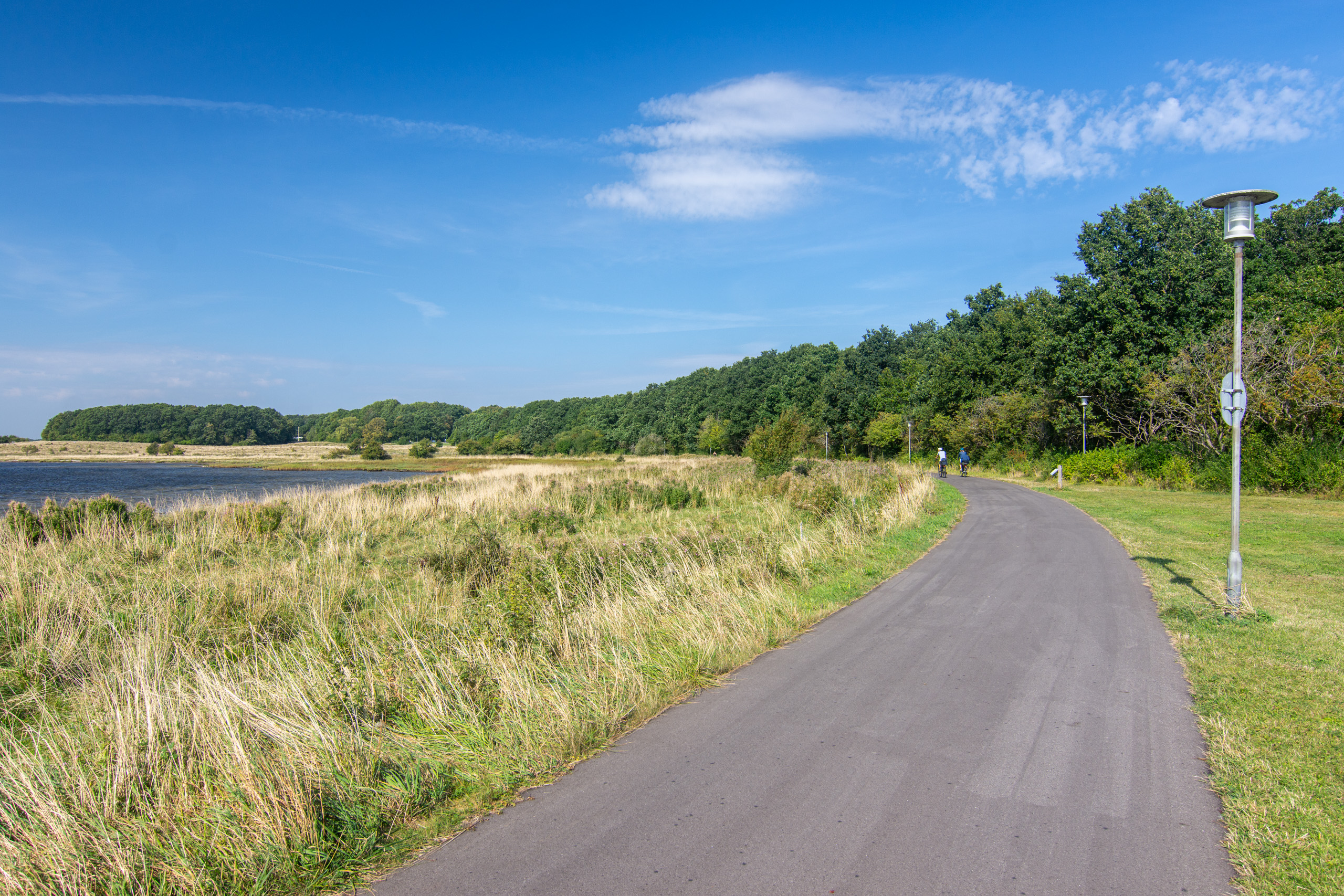Along the fjord. © 2024. This work is openly licensed via CC BY-NC 4.0