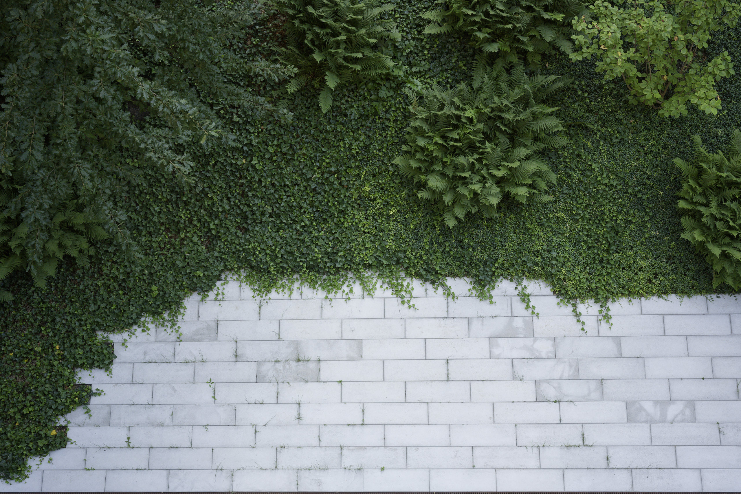 Untitled 2 © 2025. This work is openly licensed via CC BY-NC 4.0