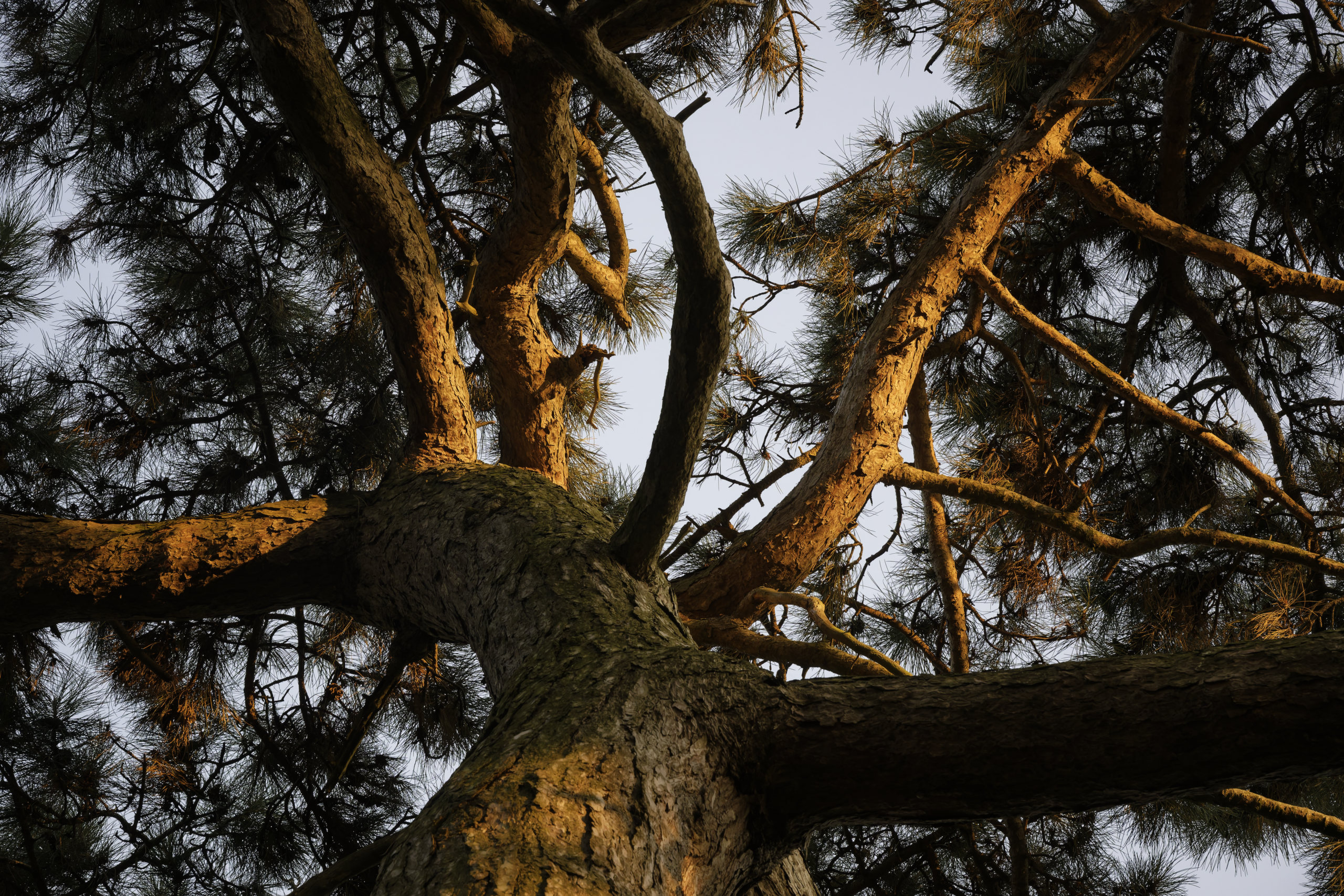 Untitled 9 © 2025. This work is openly licensed via CC BY-NC 4.0