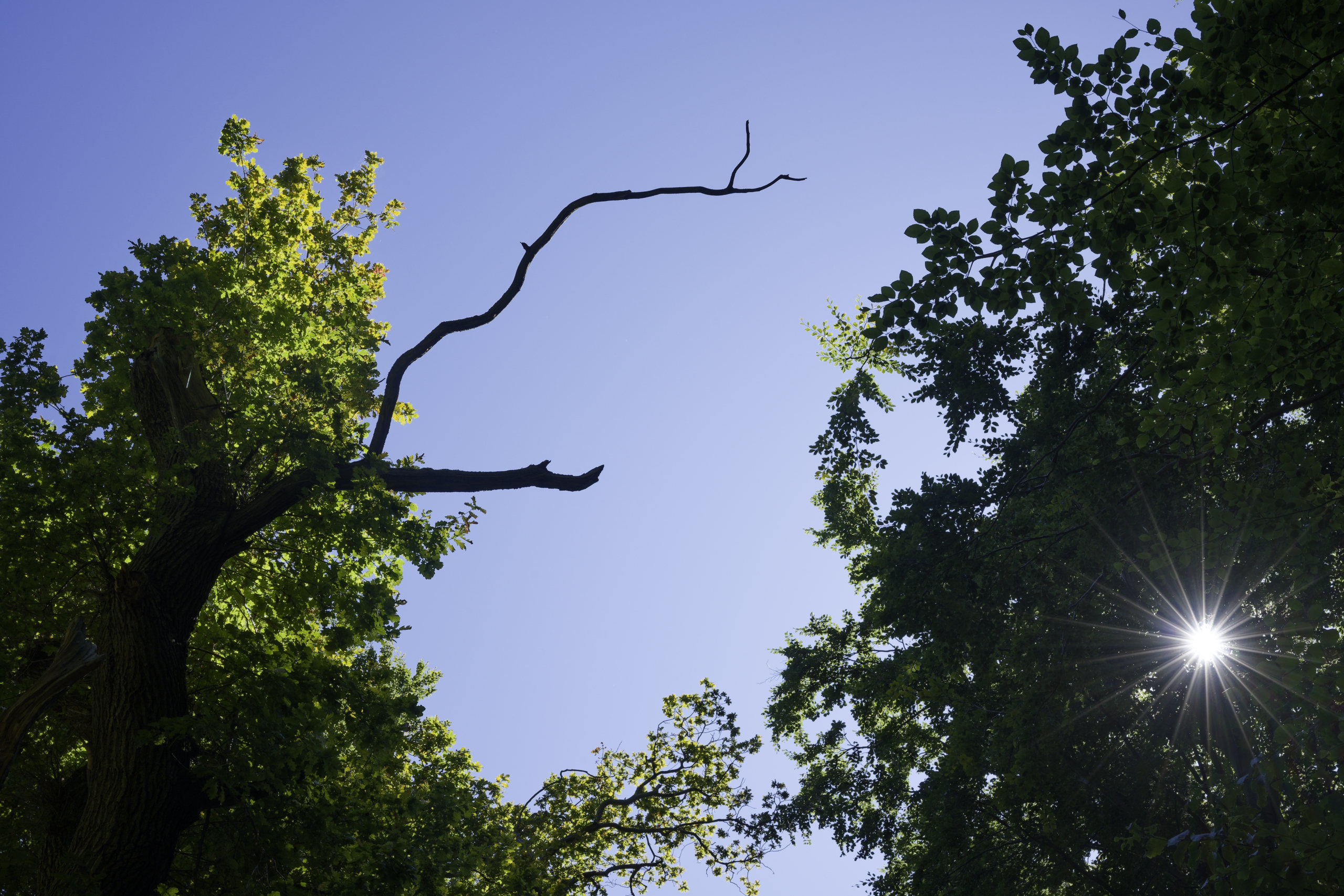 Untitled 1 © 2025. This work is openly licensed via CC BY-NC 4.0