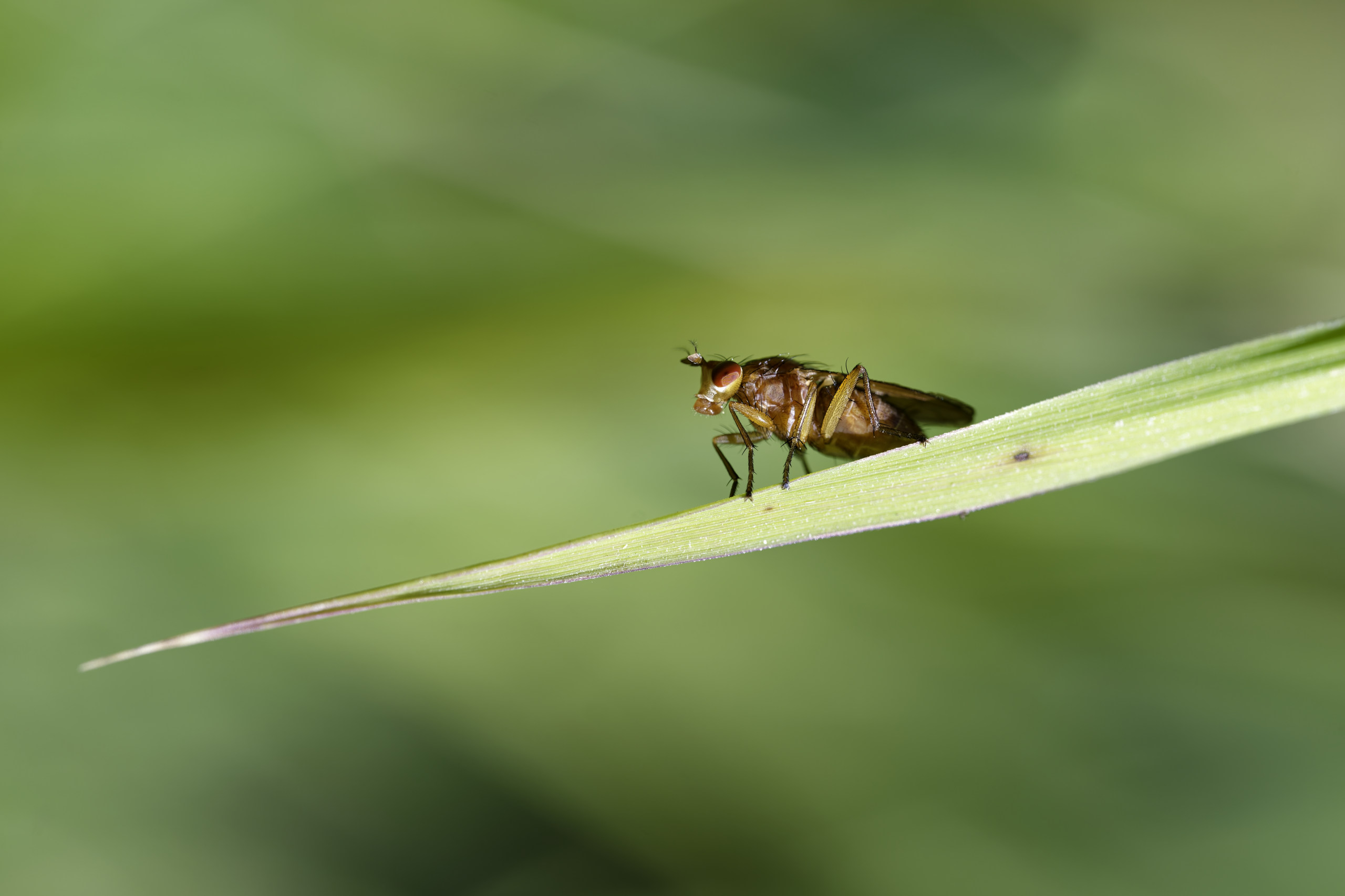 Taking a breather. Anyone got an ID? © 2025. This work is openly licensed via CC BY-NC 4.0