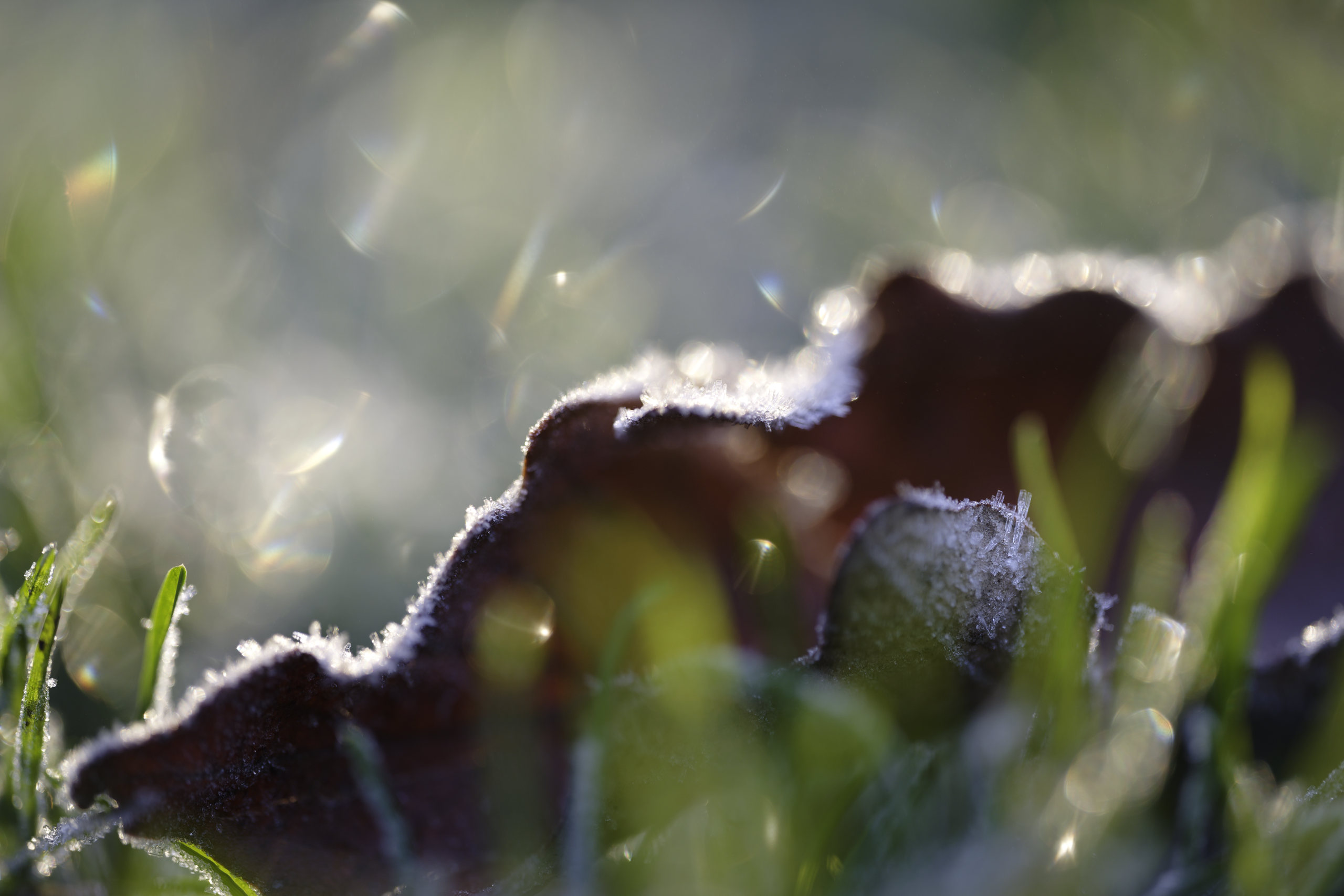 Untitled #1 © 2026. This work is openly licensed via CC BY-NC 4.0