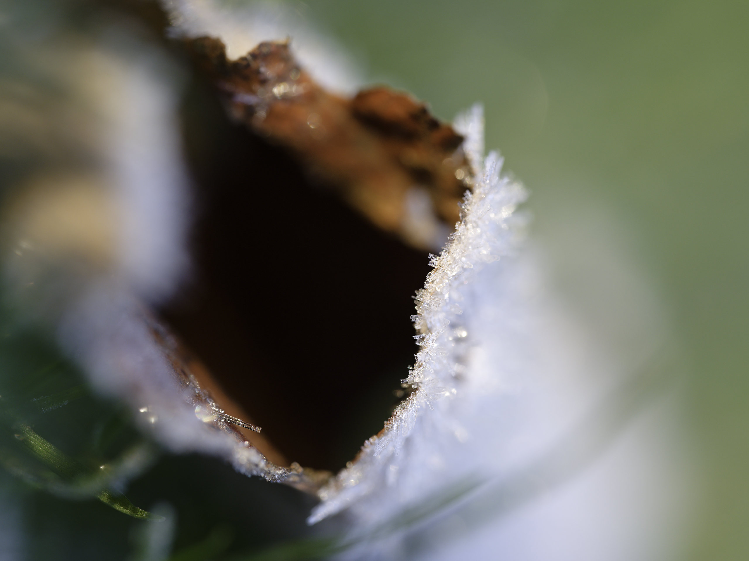 Maw © 2026. This work is openly licensed via CC BY-NC 4.0