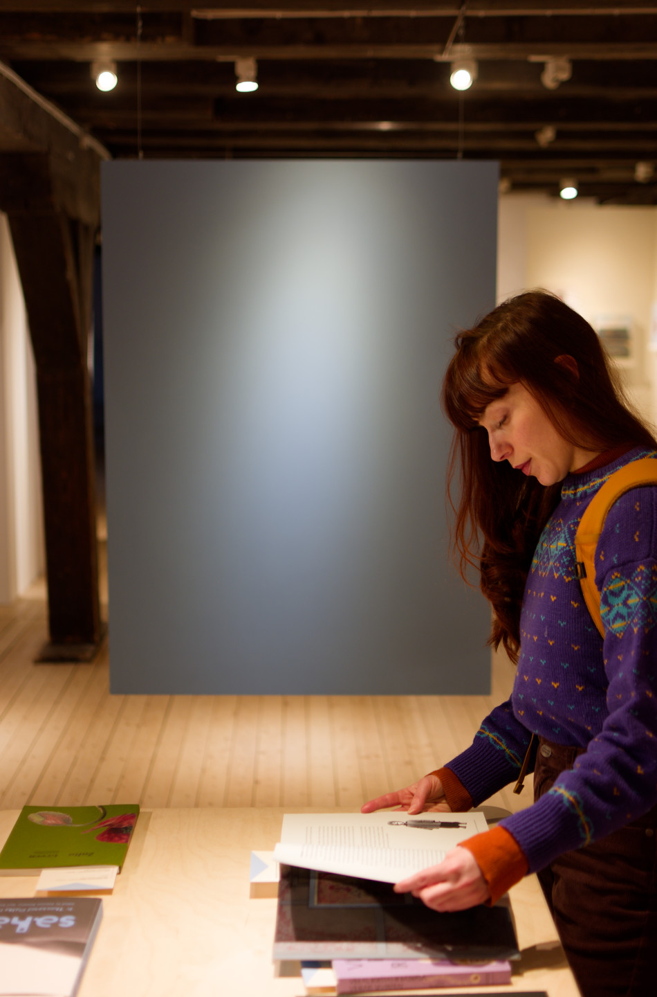 The exhibition (book art from Lithuania) © 2025. This work is openly licensed via CC BY-NC 4.0