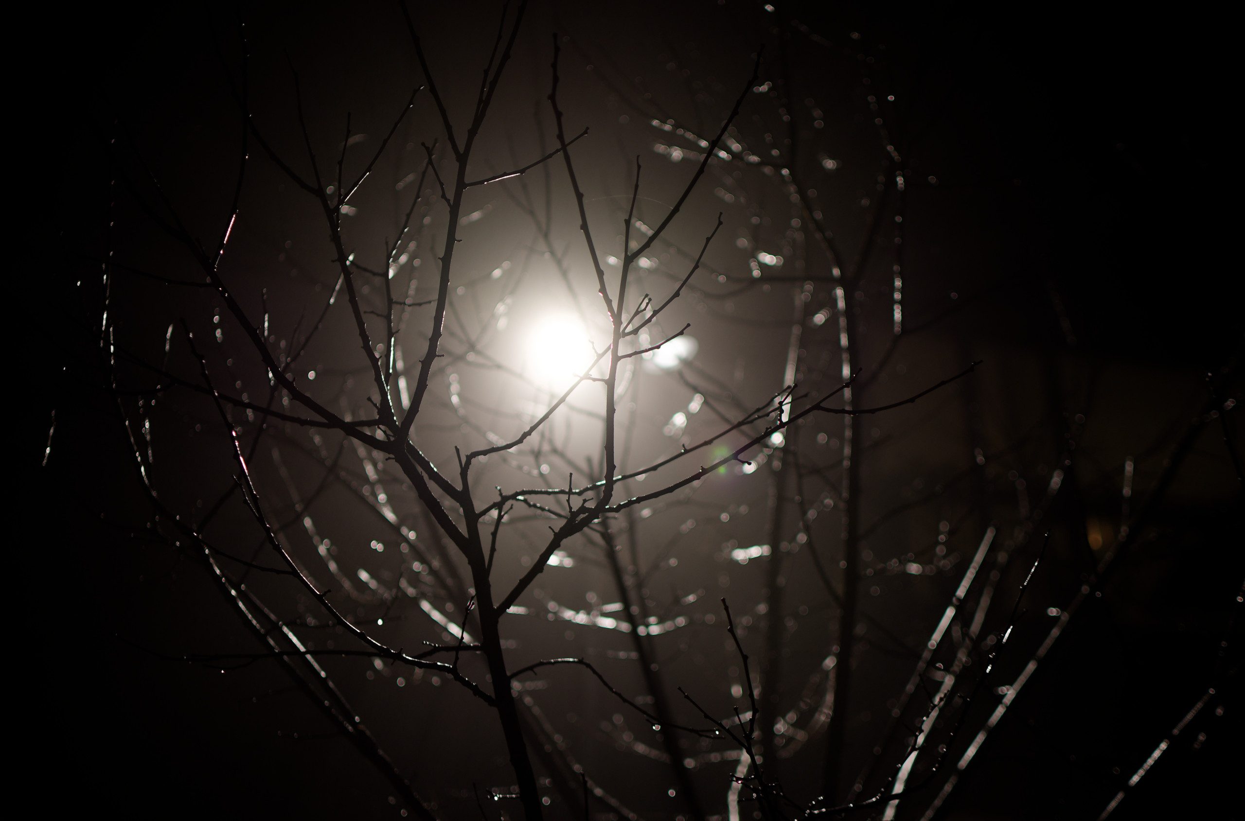 Untitled © 2025. This work is openly licensed via CC BY-NC 4.0