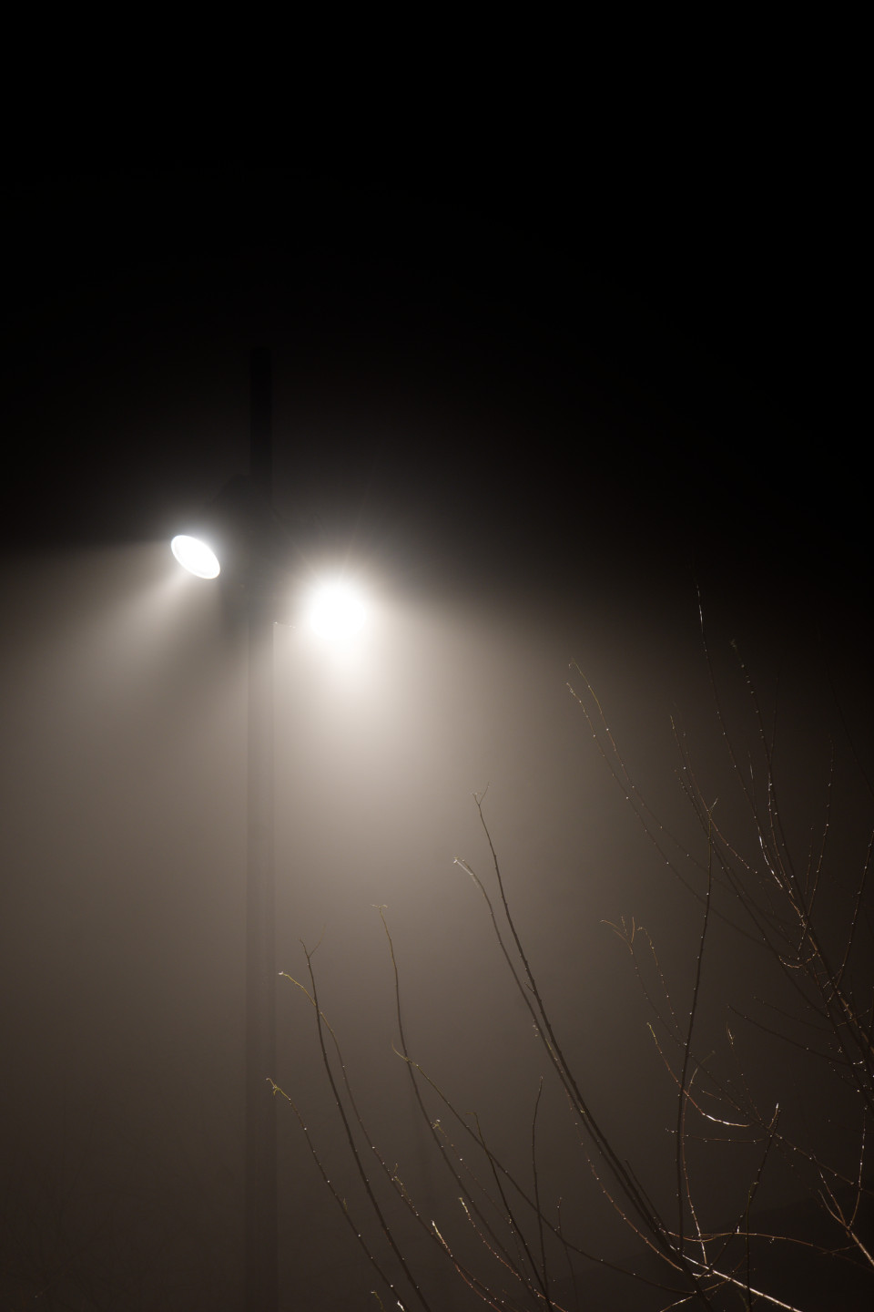 Moody © 2025. This work is openly licensed via CC BY-NC 4.0