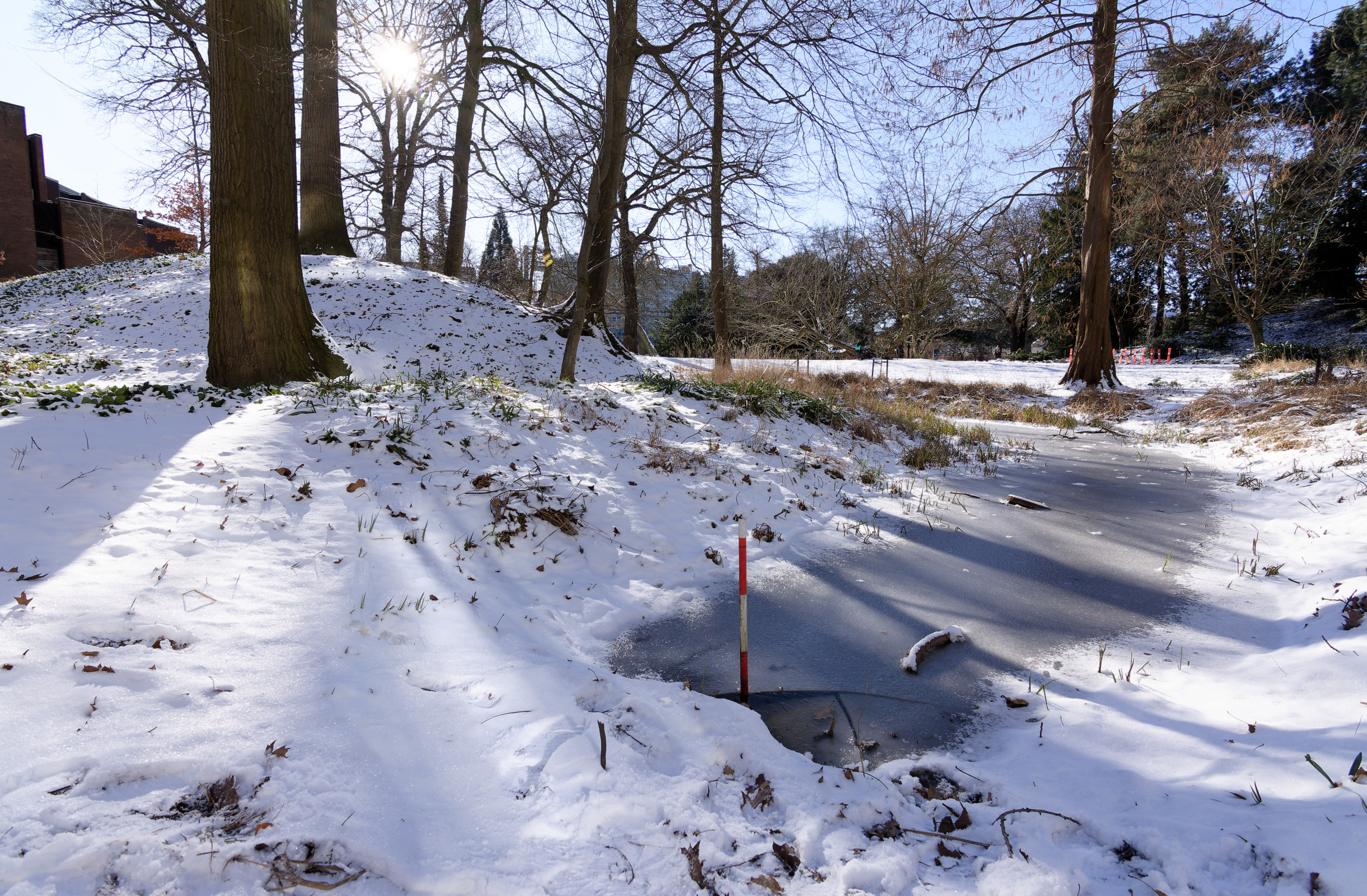 Frozen lake in the nearby park. I love the light and shadows in this one. © 2025. This work is openly licensed via CC BY-NC 4.0