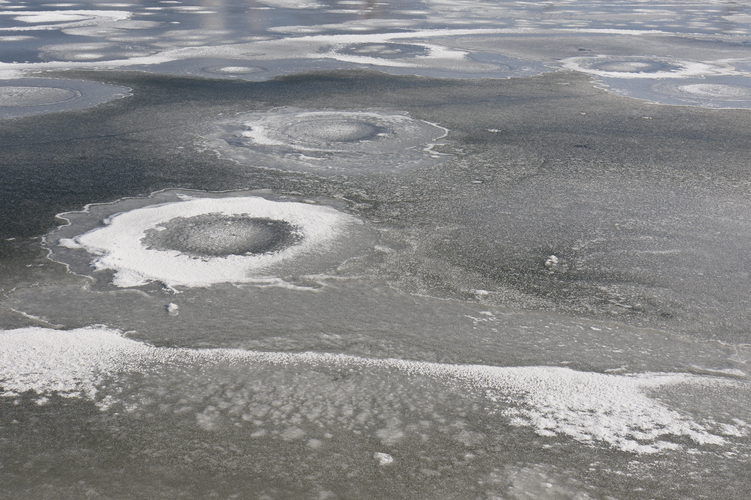 I like the texture/patterns here © 2025. This work is openly licensed via CC BY-NC 4.0