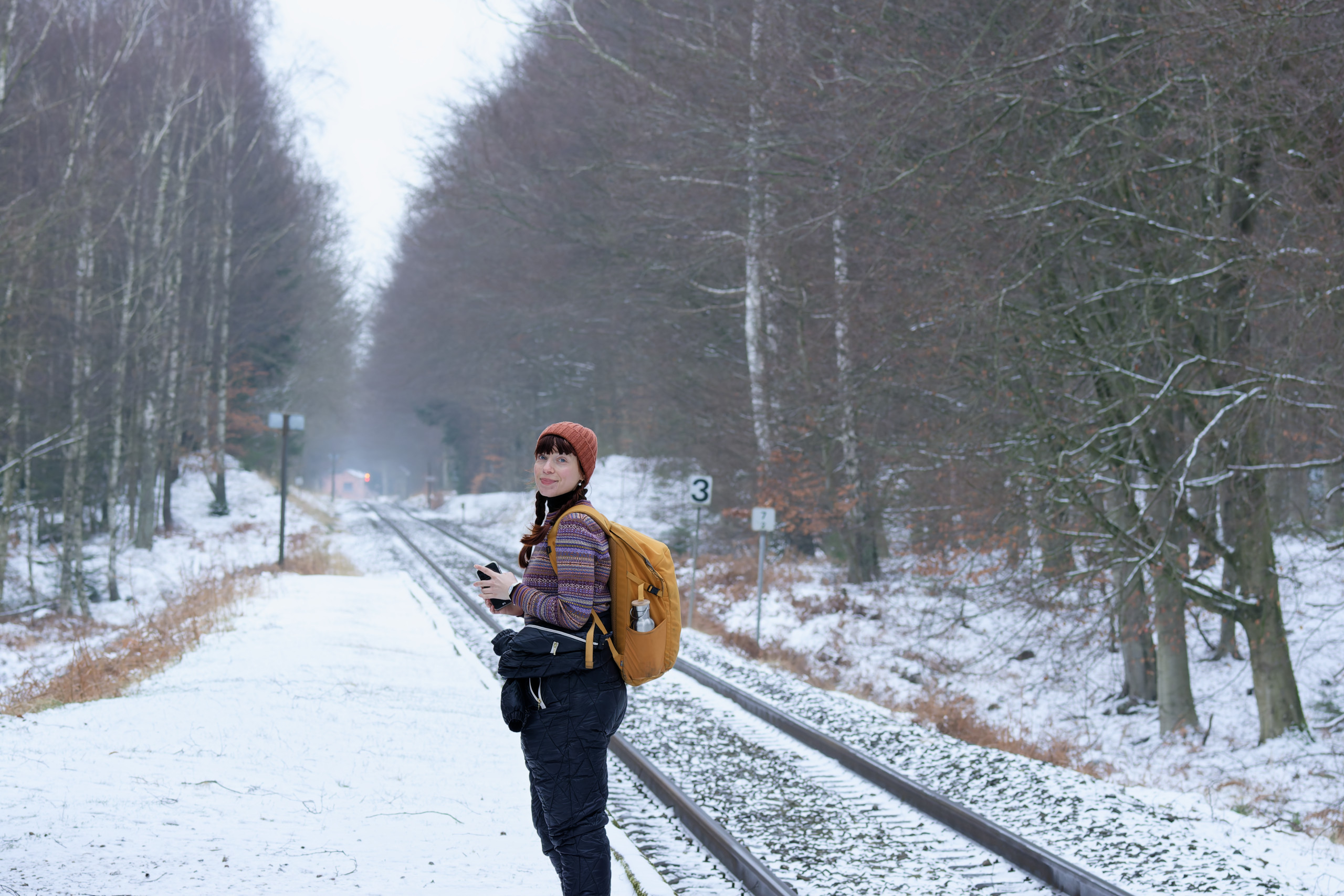 You can get the train from Hillerod to Gribso, which travels through the forest! (I took a photo of the train in the Nov 2024 round-up). © 2025. This work is openly licensed via CC BY-NC 4.0