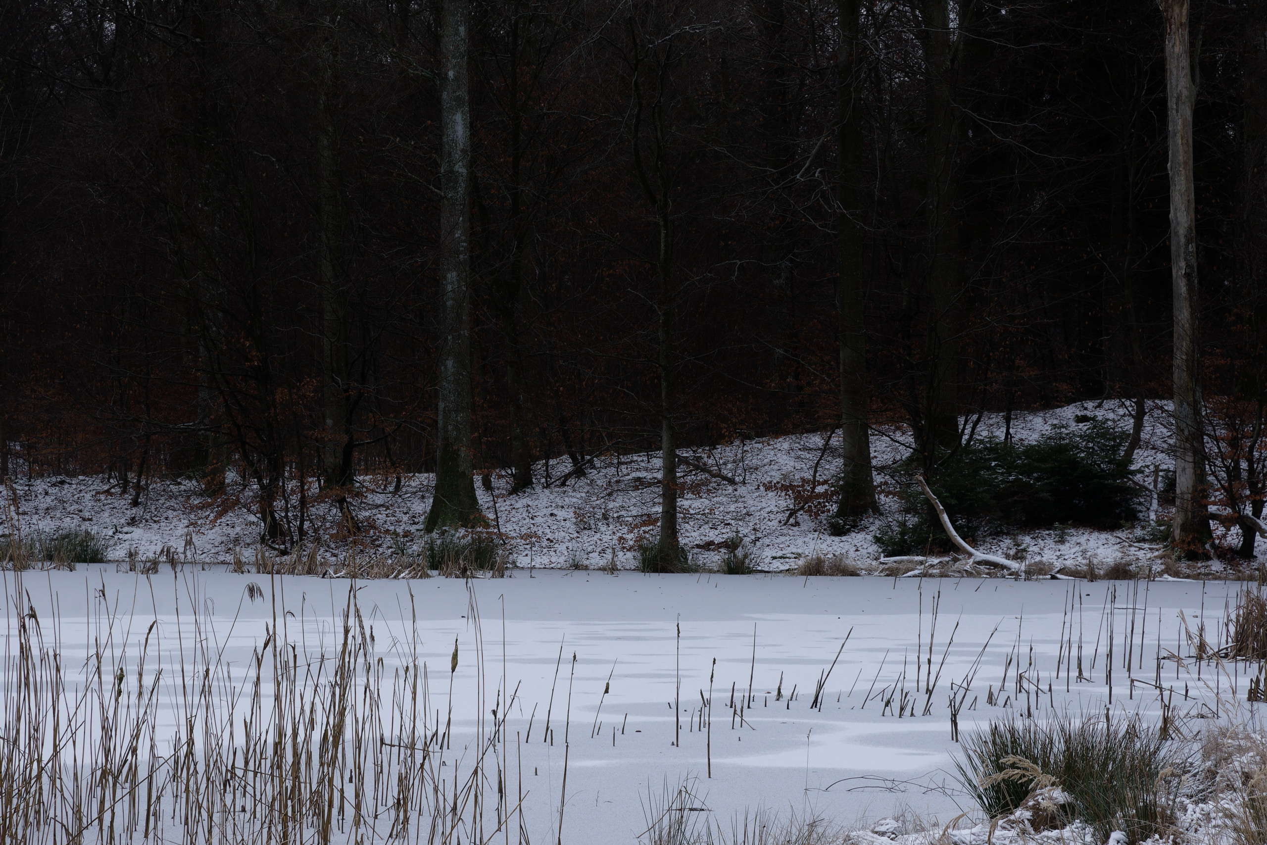 A bit gloomier. © 2025. This work is openly licensed via CC BY-NC 4.0
