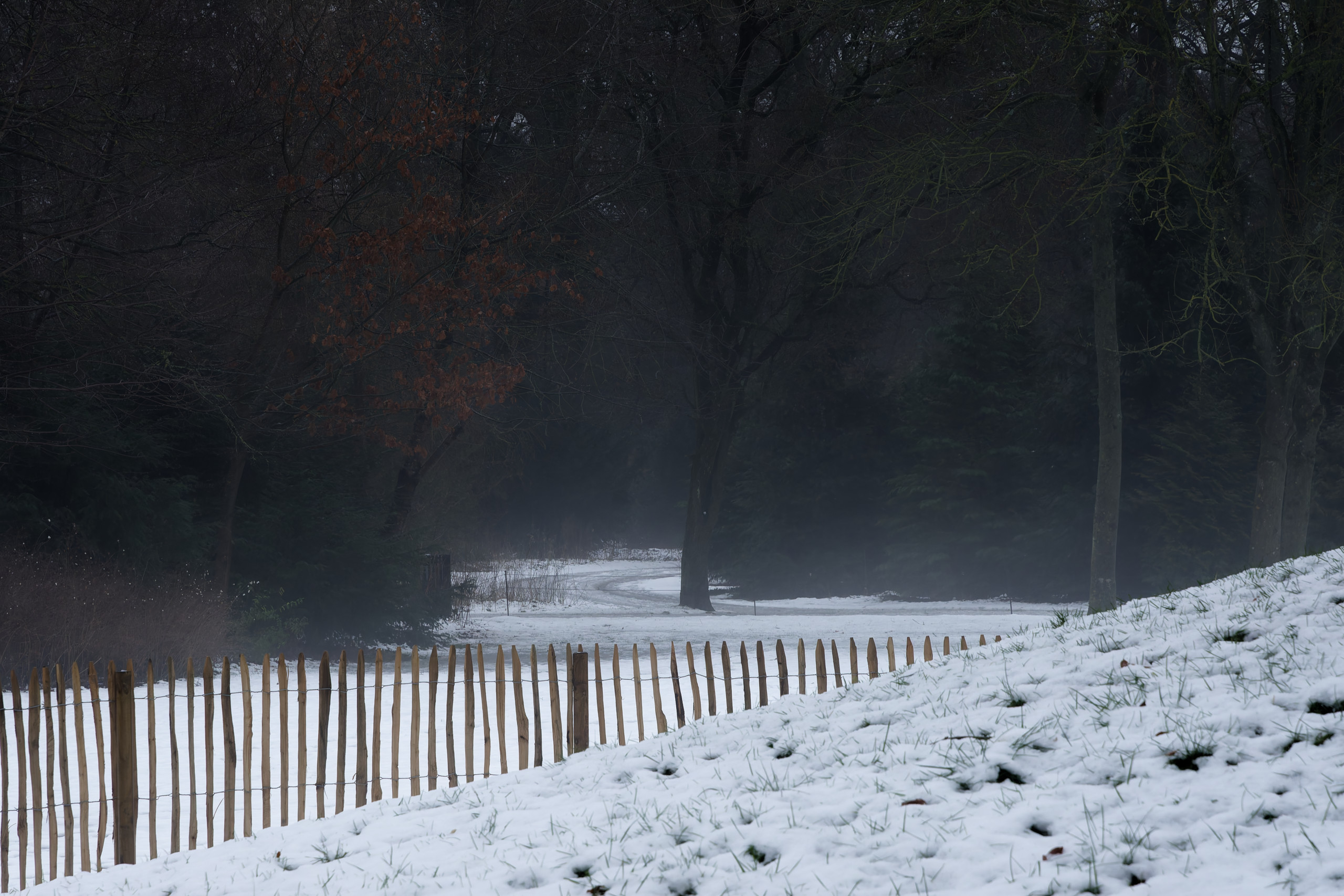 Gloomy © 2025. This work is openly licensed via CC BY-NC 4.0