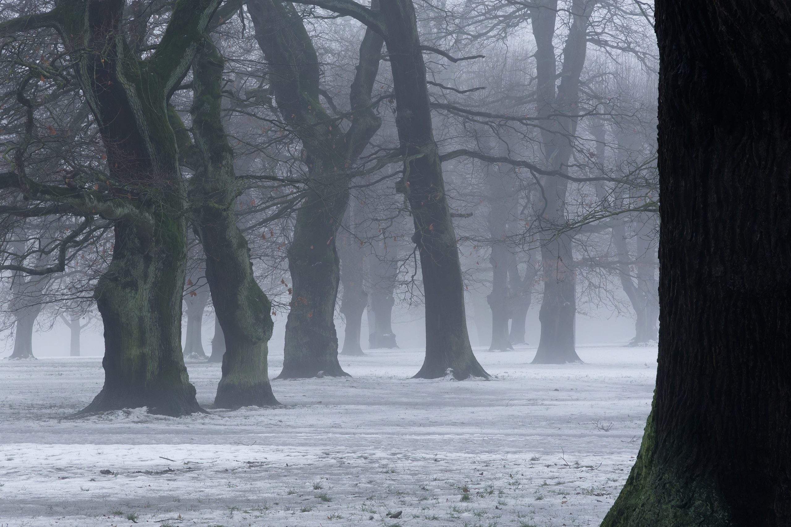 I love how the mist adds to the depth of the image here. © 2025. This work is openly licensed via CC BY-NC 4.0