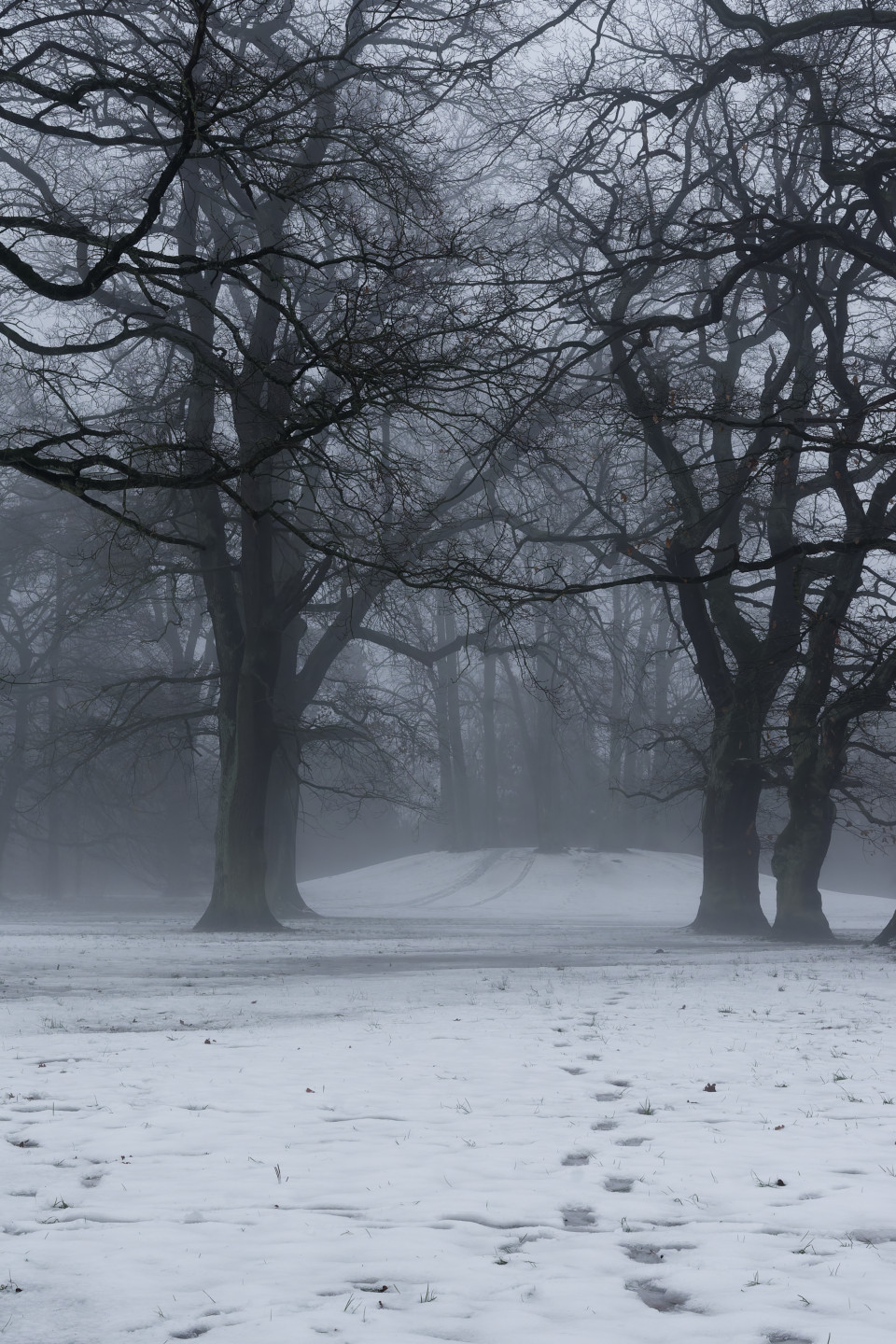 Spooky. © 2025. This work is openly licensed via CC BY-NC 4.0