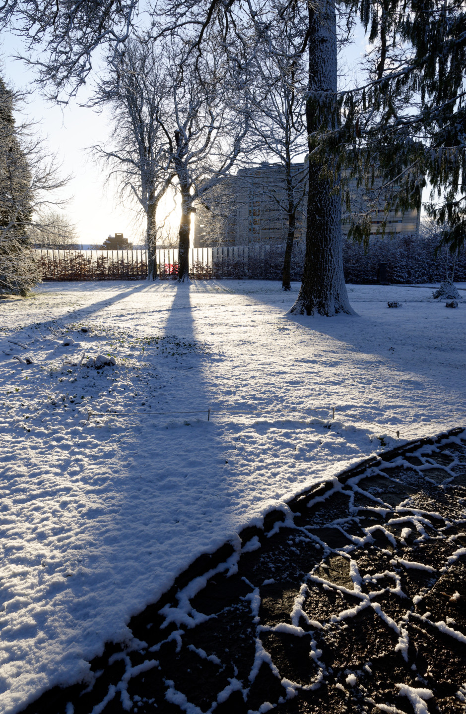 Sun still low on the horizon, which makes for some nice, long shadows. © 2025. This work is openly licensed via CC BY-NC 4.0