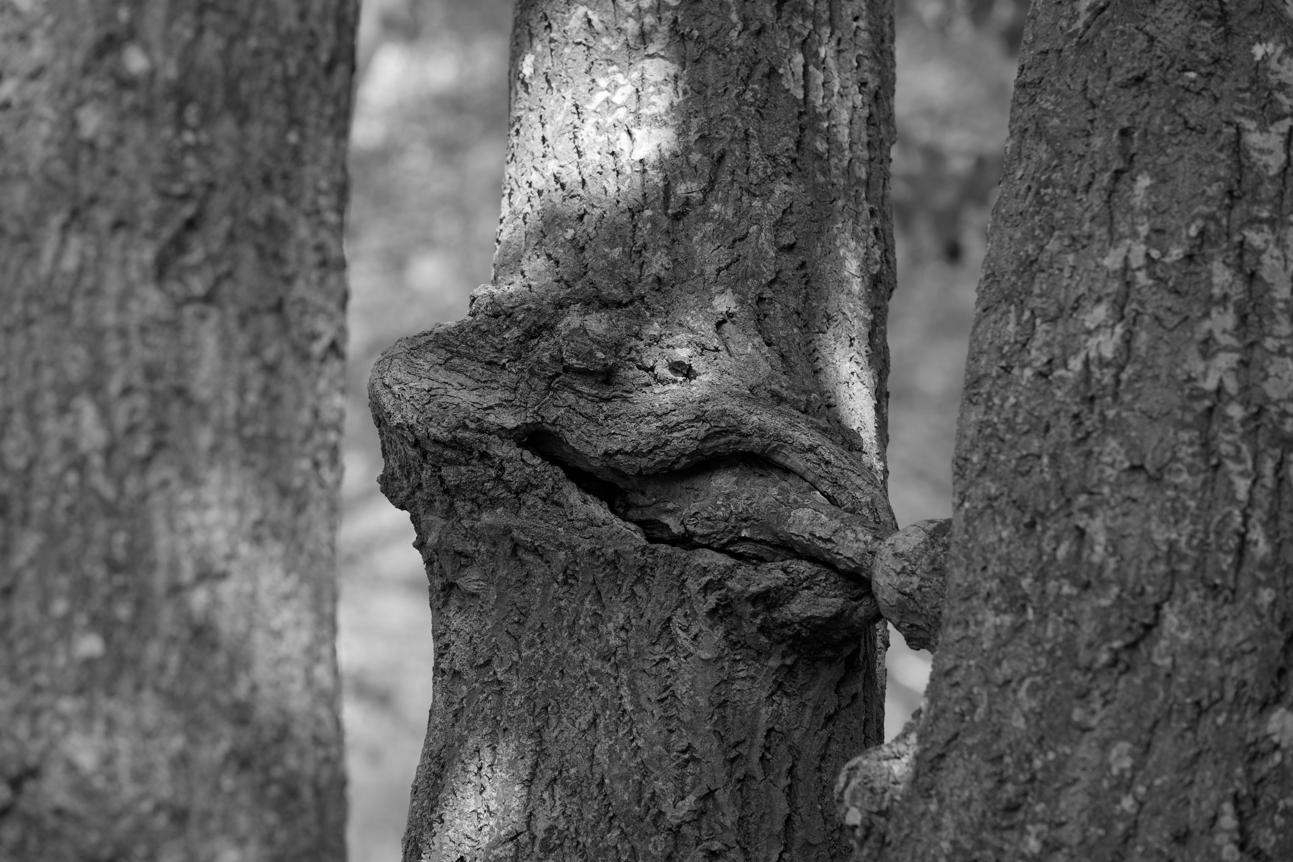 Untitled © 2025. This work is openly licensed via CC BY-NC 4.0