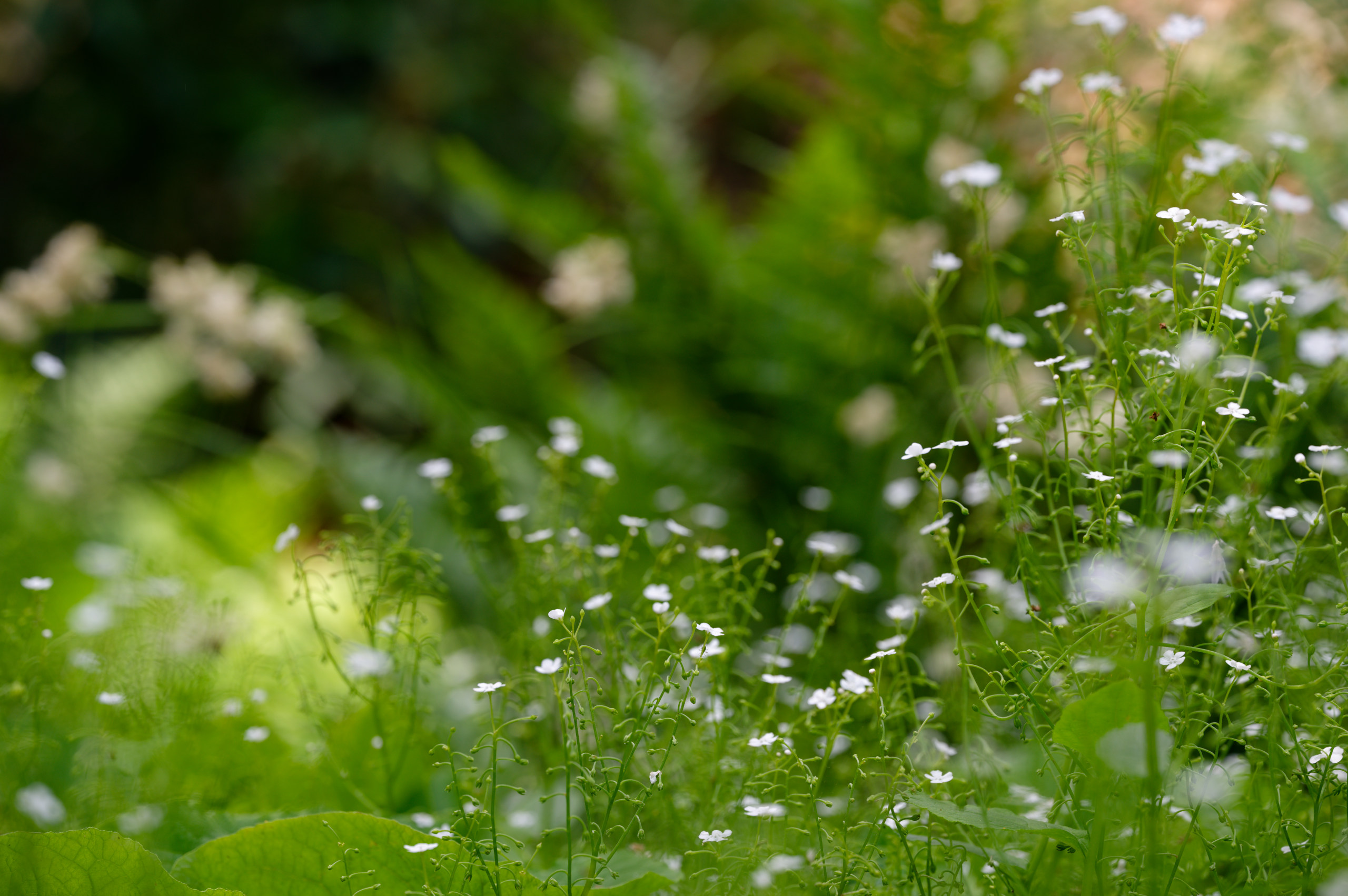 Untitled © 2025. This work is openly licensed via CC BY-NC 4.0