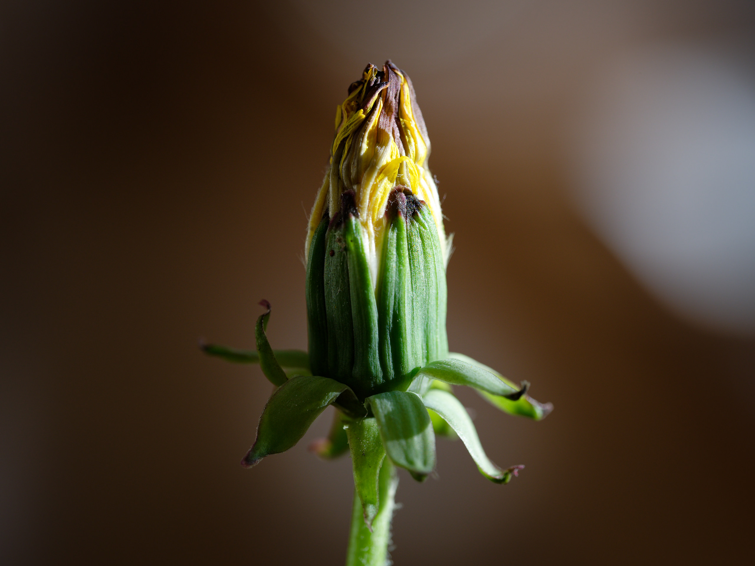 Change © 2025. This work is openly licensed via CC BY-NC 4.0