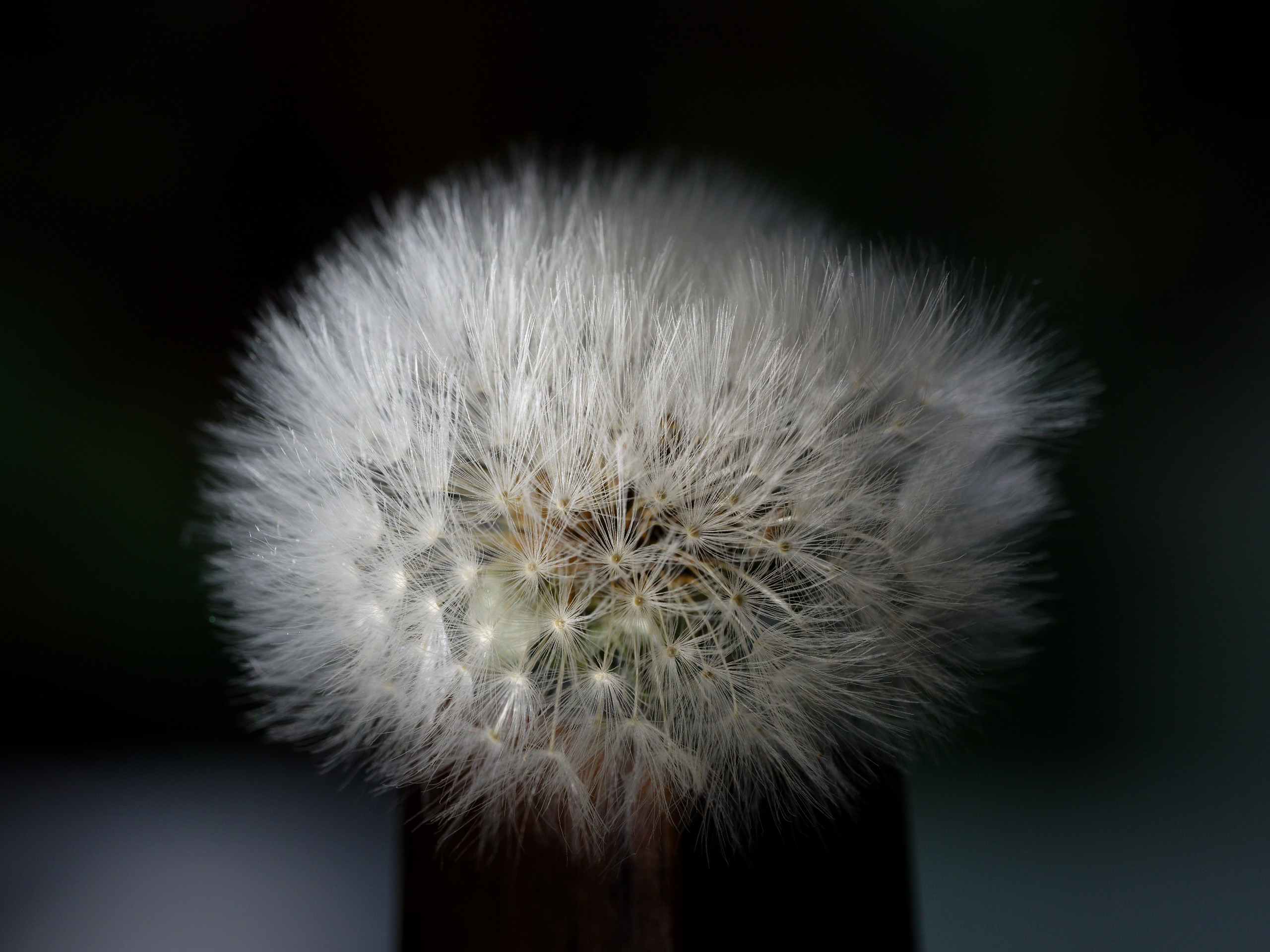 Spread © 2025. This work is openly licensed via CC BY-NC 4.0