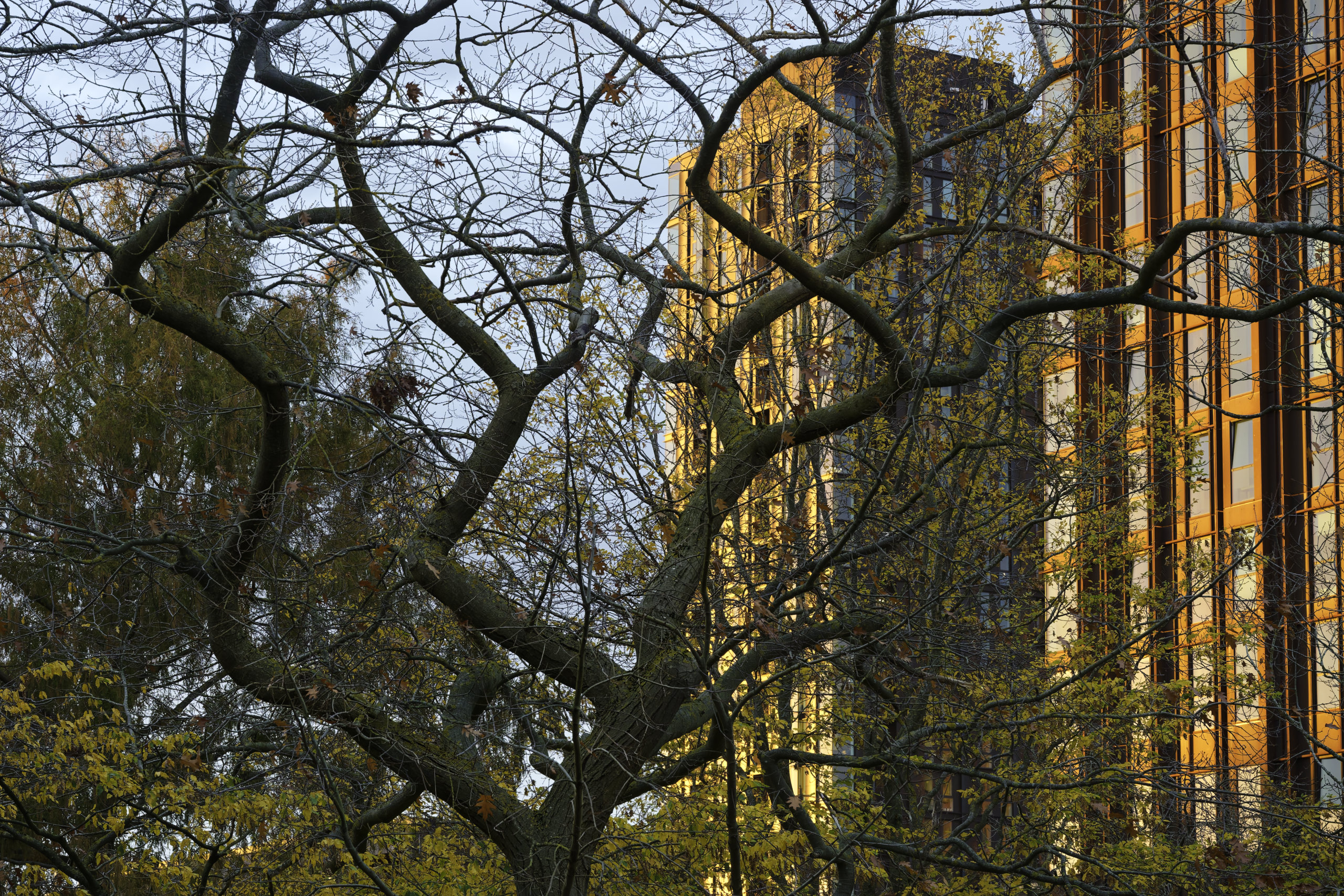 Sunrise on the towers. © 2025. This work is openly licensed via CC BY-NC 4.0